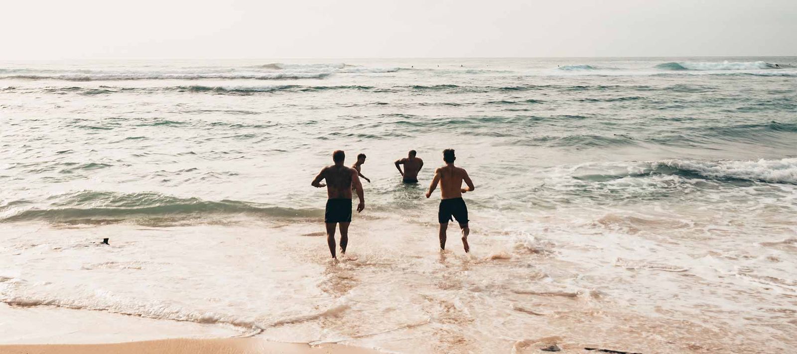 Galería con 100 imágenes desde Zip Galería con 100 imágenes desde Zip