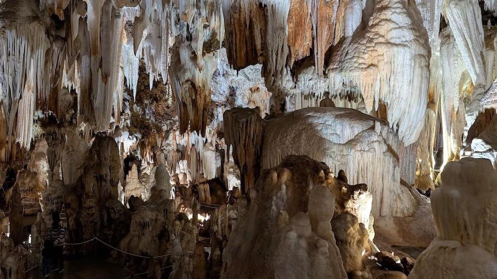 avila-cueva-aguila-detalles-horizontal avila-cueva-aguila-detalles-horizontal