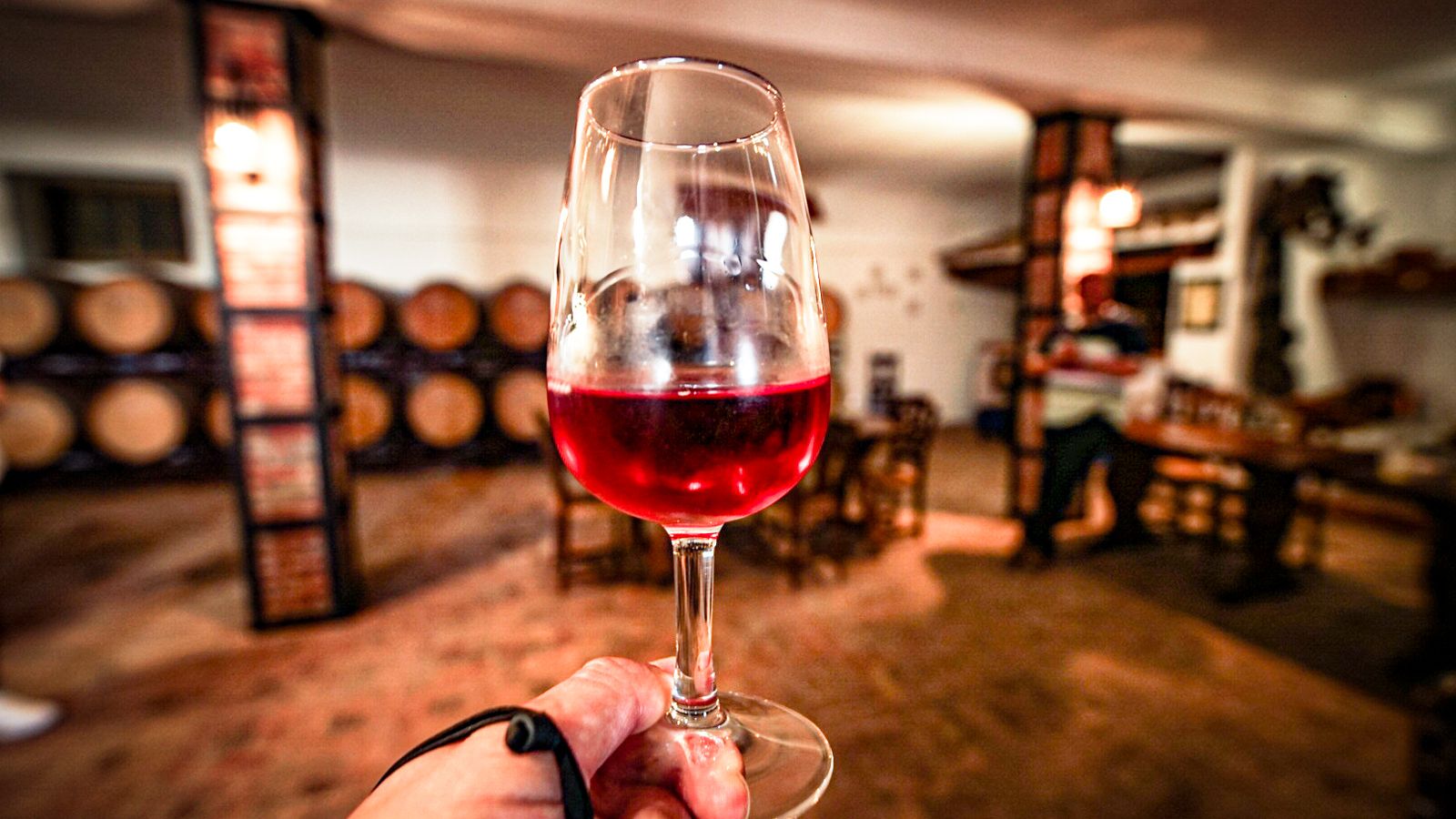 castilla la mancha socuellamos bodegas crisve cata vino castilla la mancha socuellamos bodegas crisve cata vino