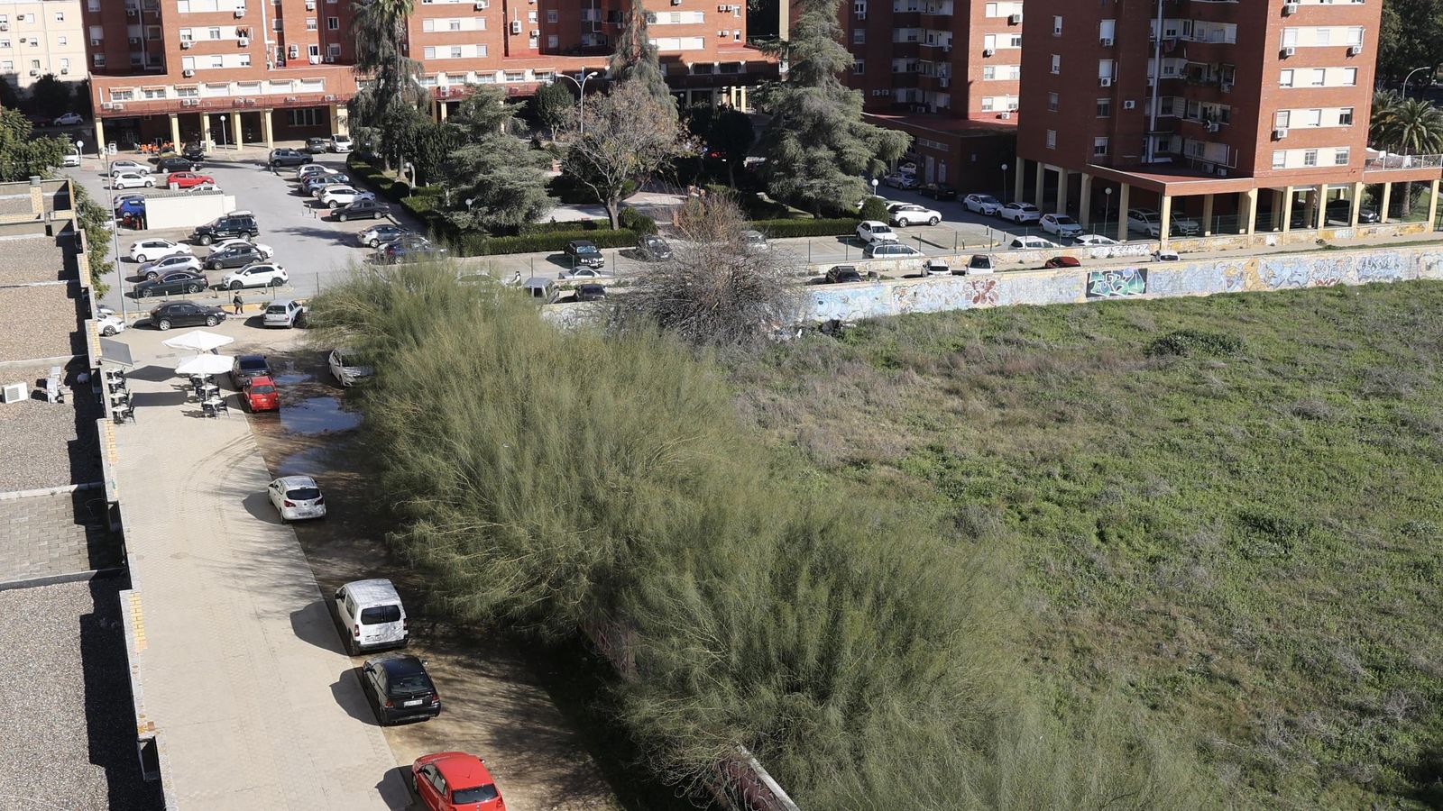 solar-tamarguillo-3669f00.jpg solar-tamarguillo-3669f00.jpg