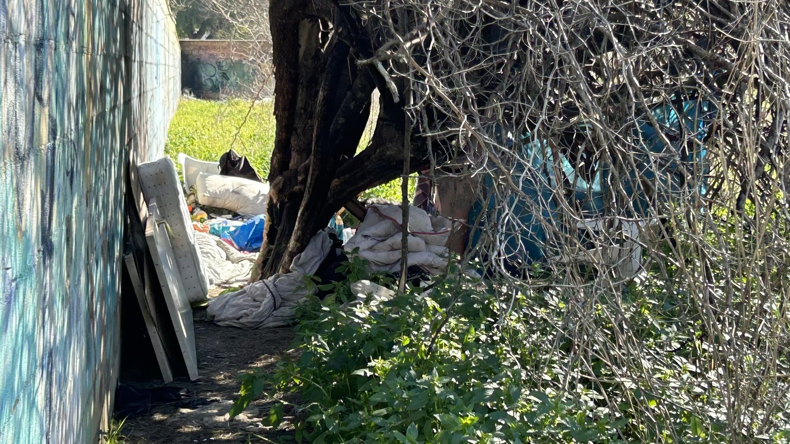 solar-tamarguillo-57f6d5d.jpg solar-tamarguillo-57f6d5d.jpg