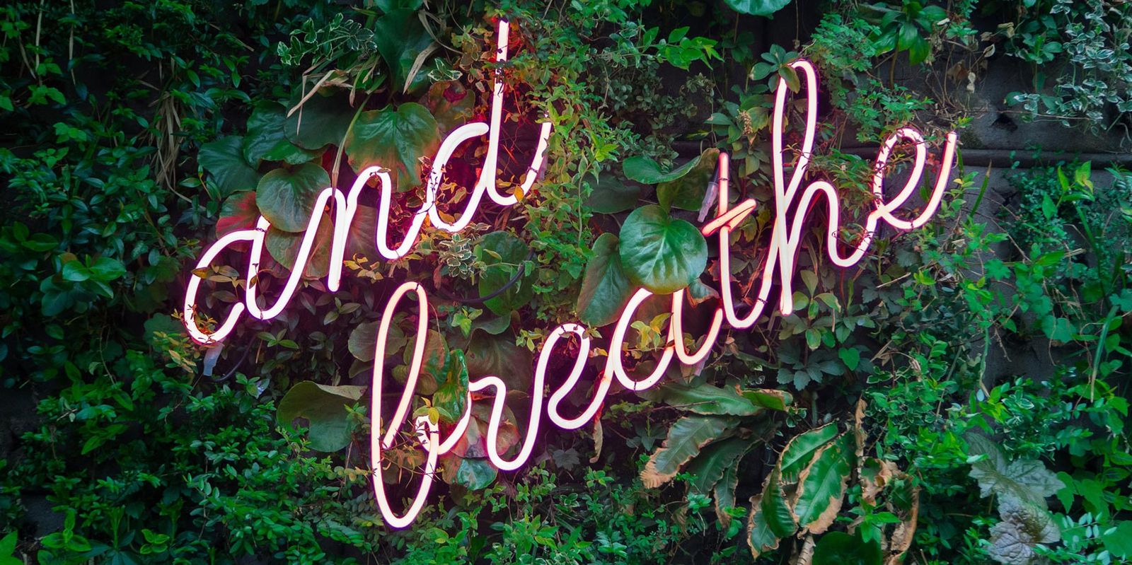 Galería con 100 imágenes desde Zip Galería con 100 imágenes desde Zip