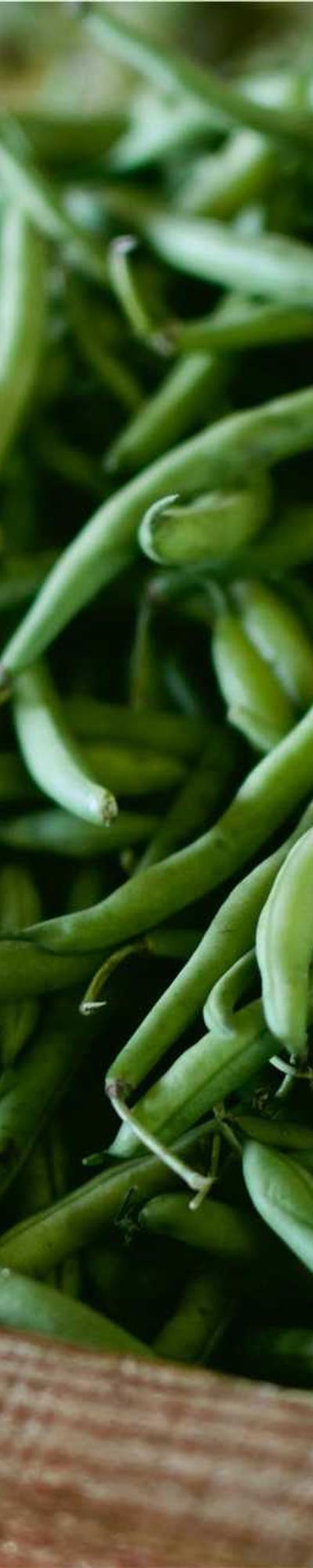 image - cd8e8bf6 5b6f 487b a226 d4b8e25eaa31