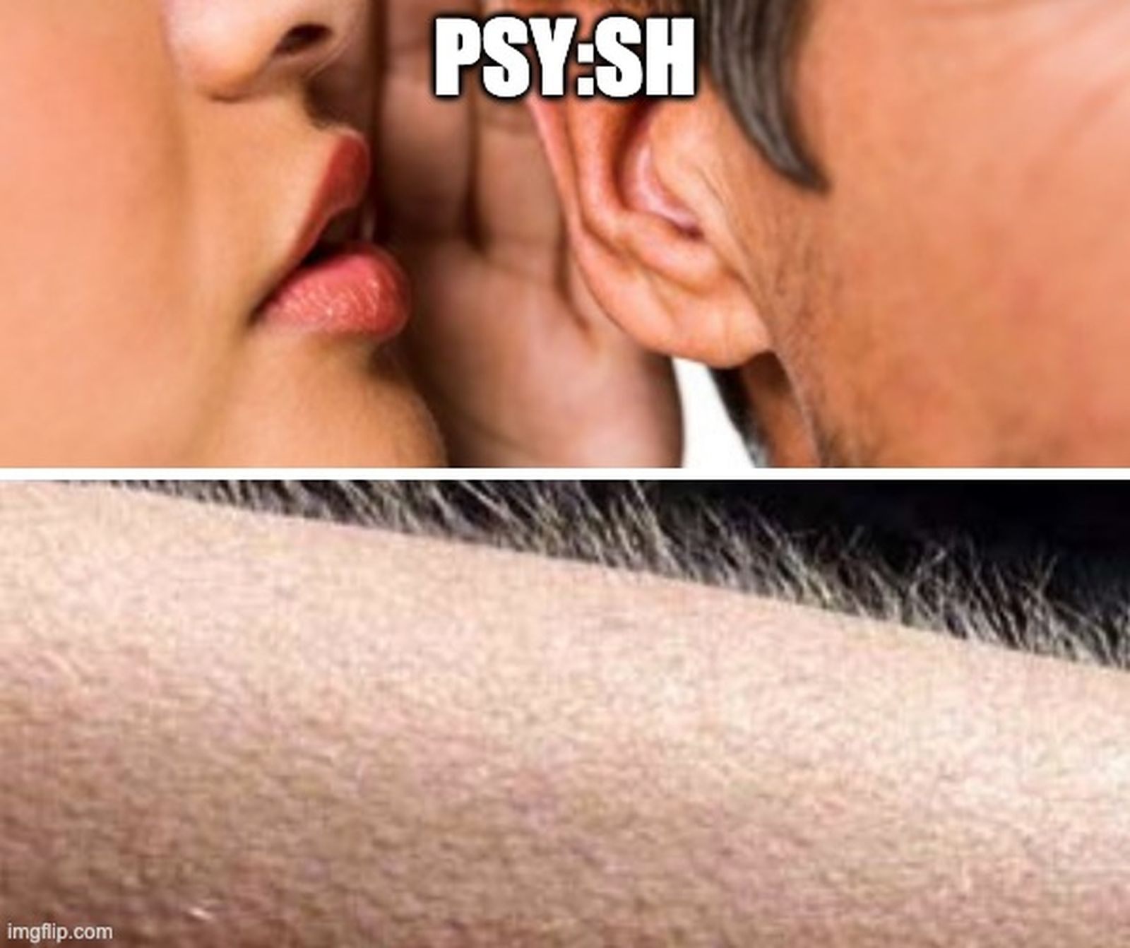 El pelo de punta oiga El pelo de punta oiga