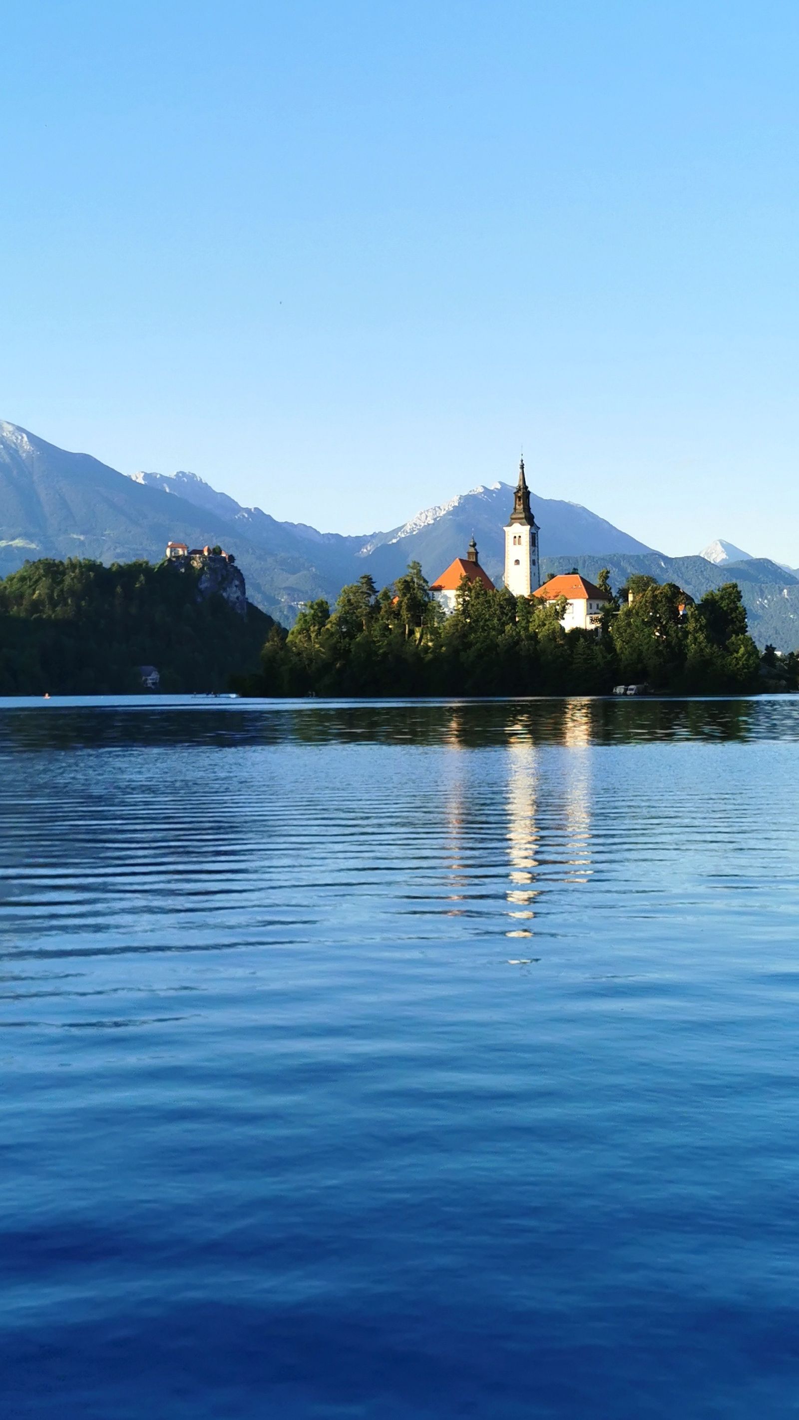 Galería test móvil Galería test móvil