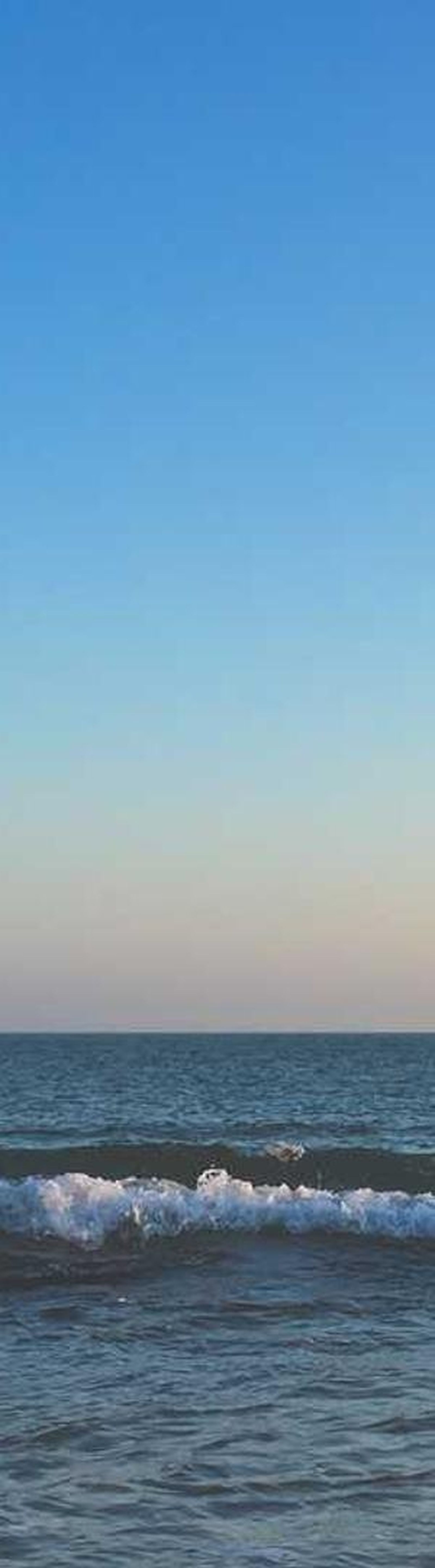 image - 213b74aa 4320 4315 8be5 bf32c80d8a45 image - 213b74aa 4320 4315 8be5 bf32c80d8a45