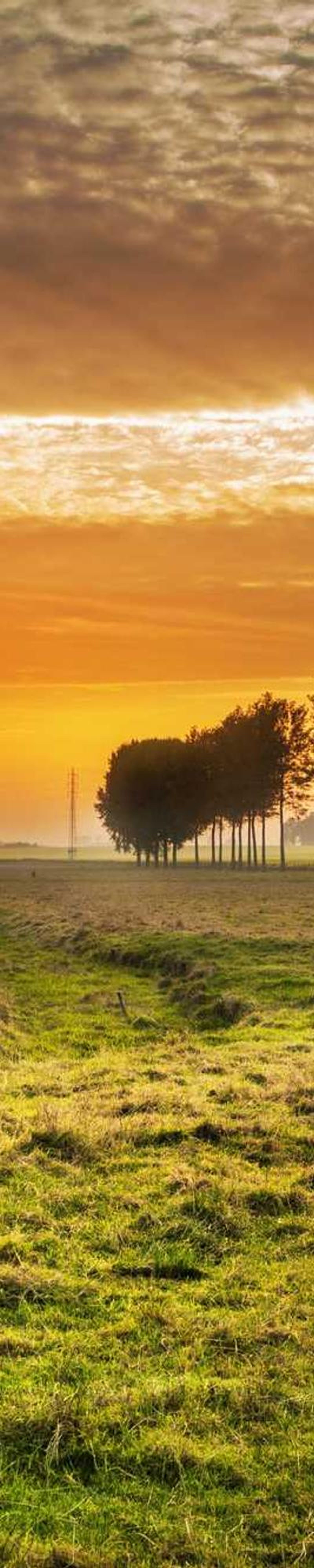 image - 7252dc3c d303 41b4 ac88 9cdcce432ddc image - 7252dc3c d303 41b4 ac88 9cdcce432ddc