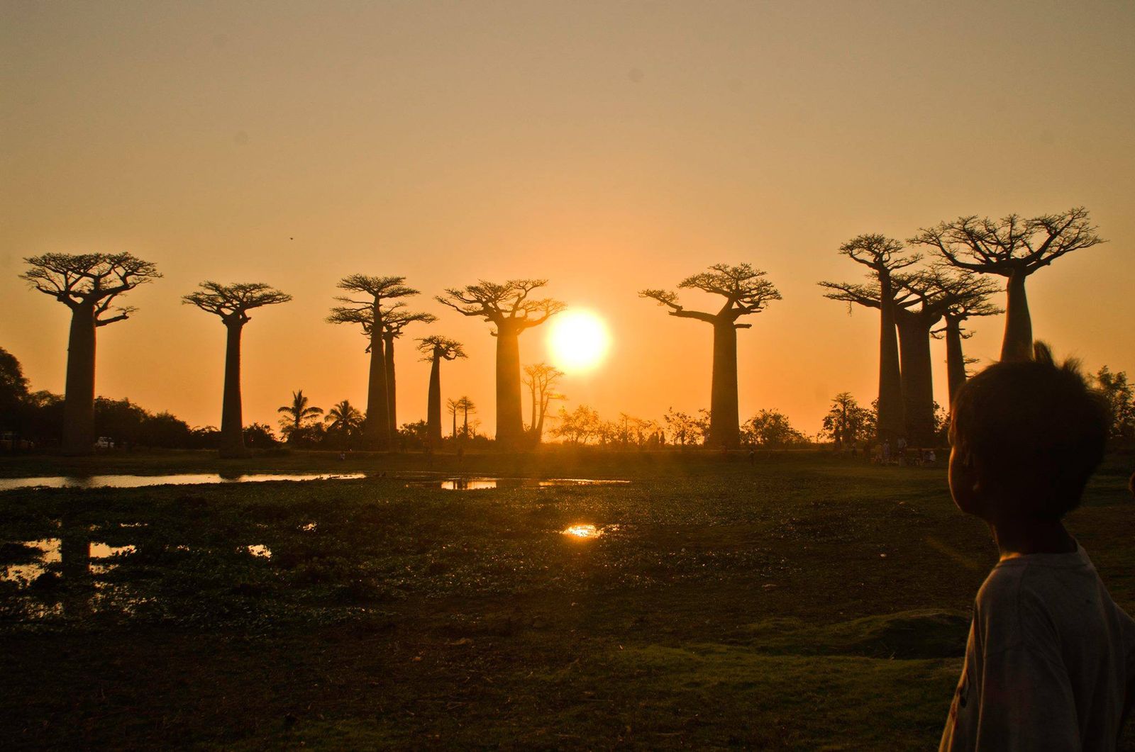 Las imágenes del día: 10 de marzo Las imágenes del día: 10 de marzo