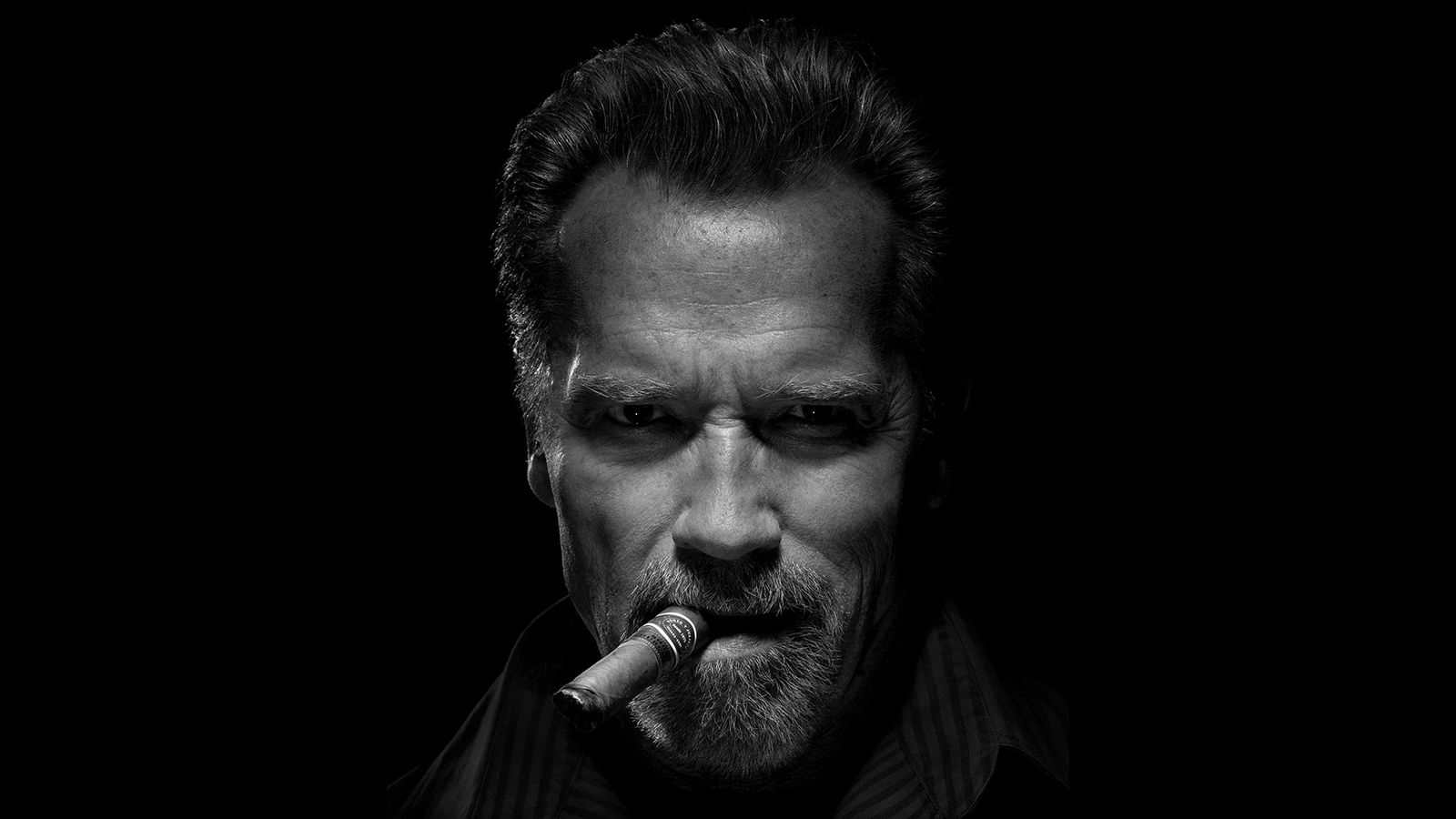 arnold schwarzenegger 8 focal