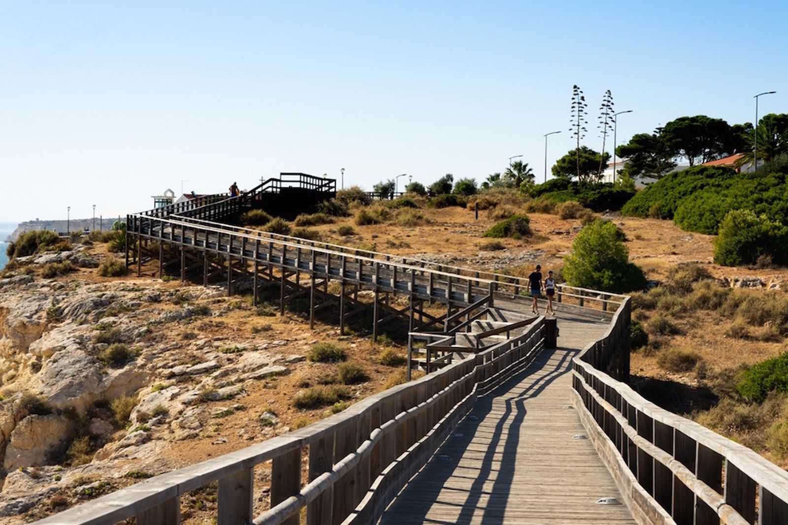 Galería móvil más de 100