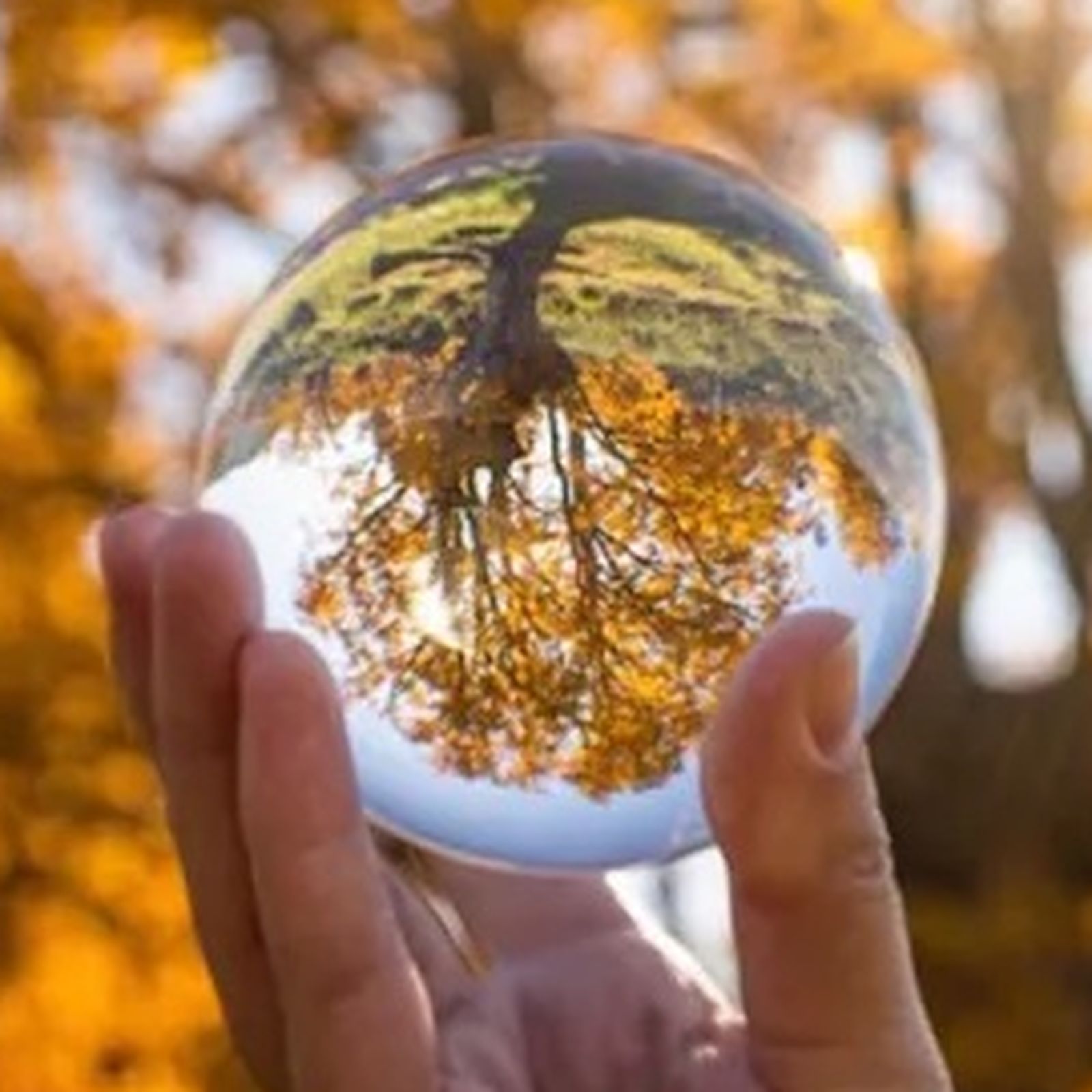 foto convertida de webp y pequeña foto convertida de webp y pequeña