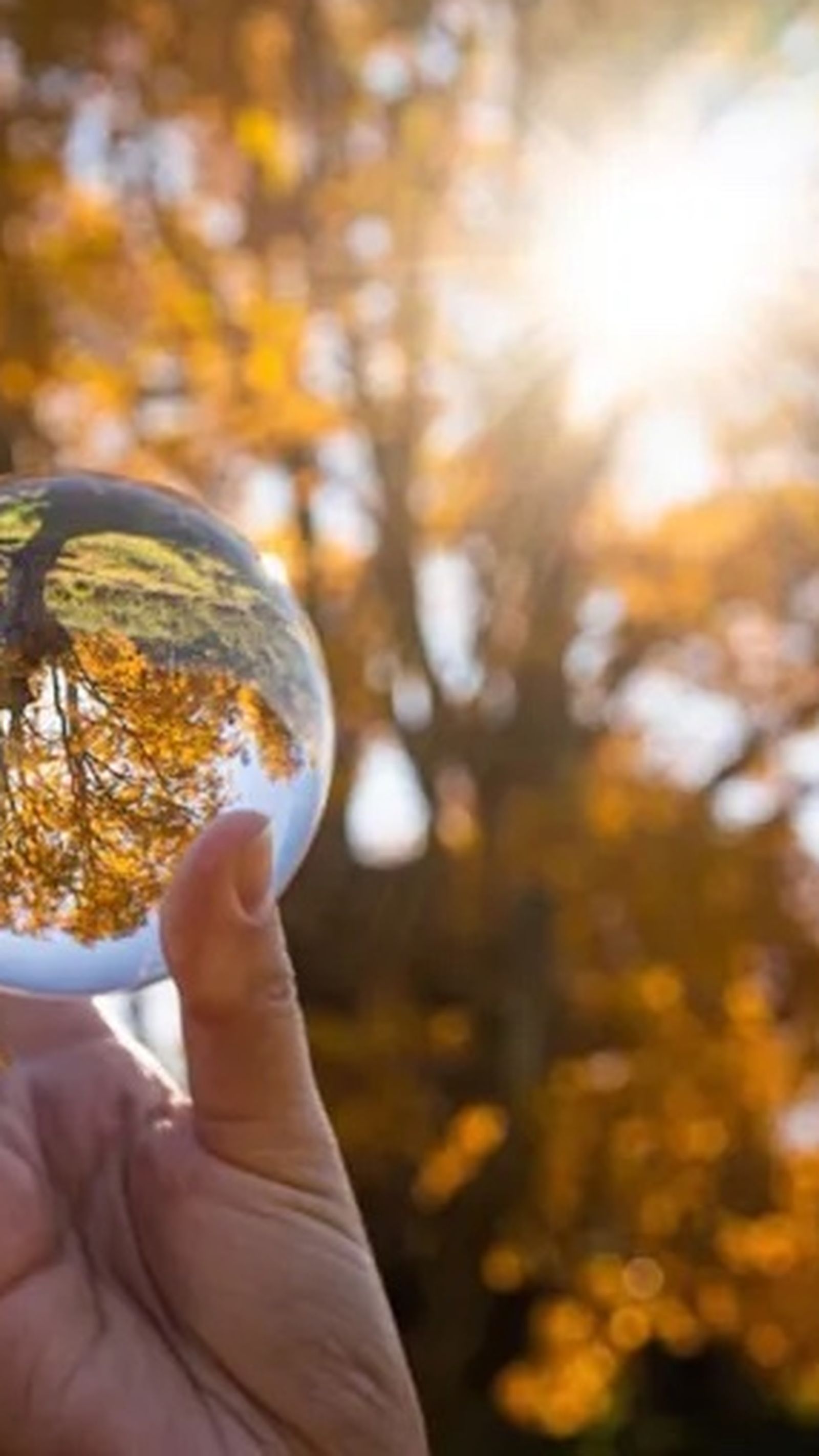 foto convertida de webp y pequeña foto convertida de webp y pequeña