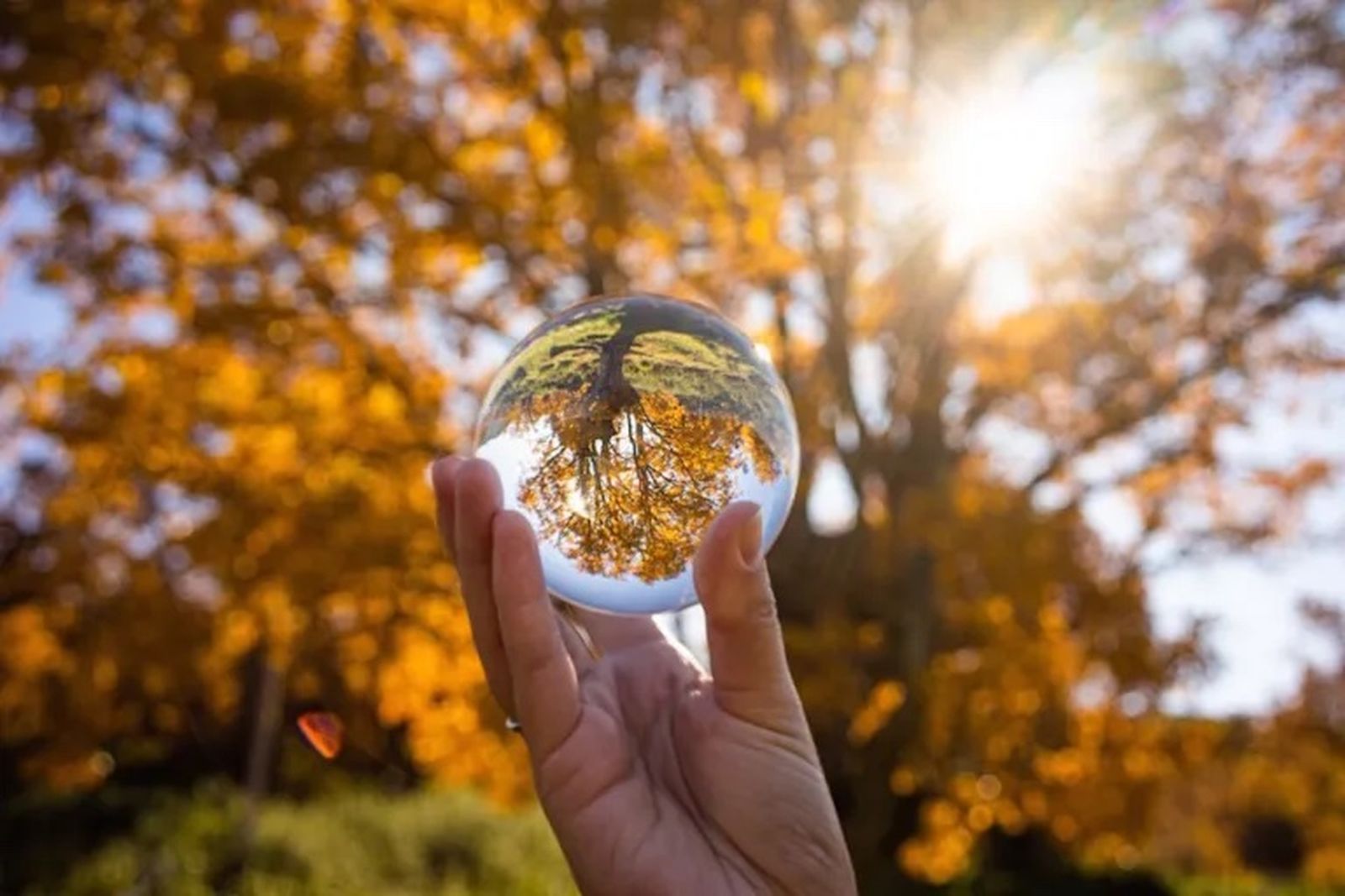 foto convertida de webp y pequeña foto convertida de webp y pequeña