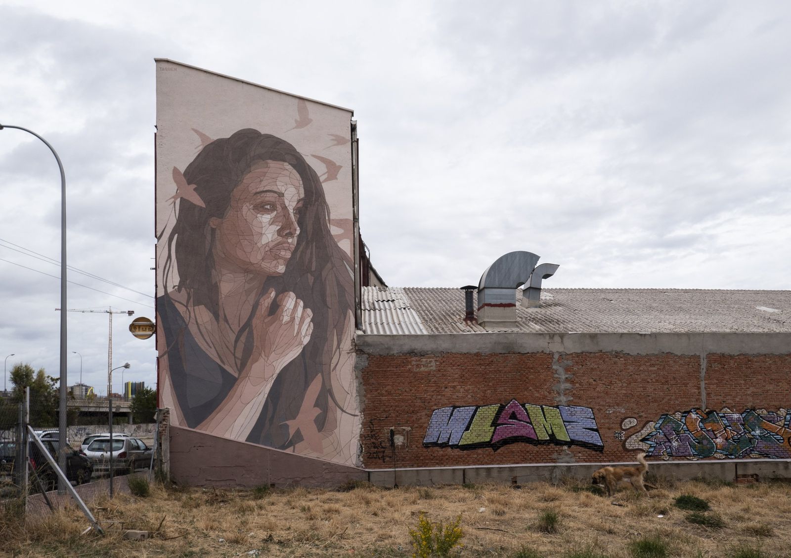 Taquen Mural 01 Taquen Mural 01