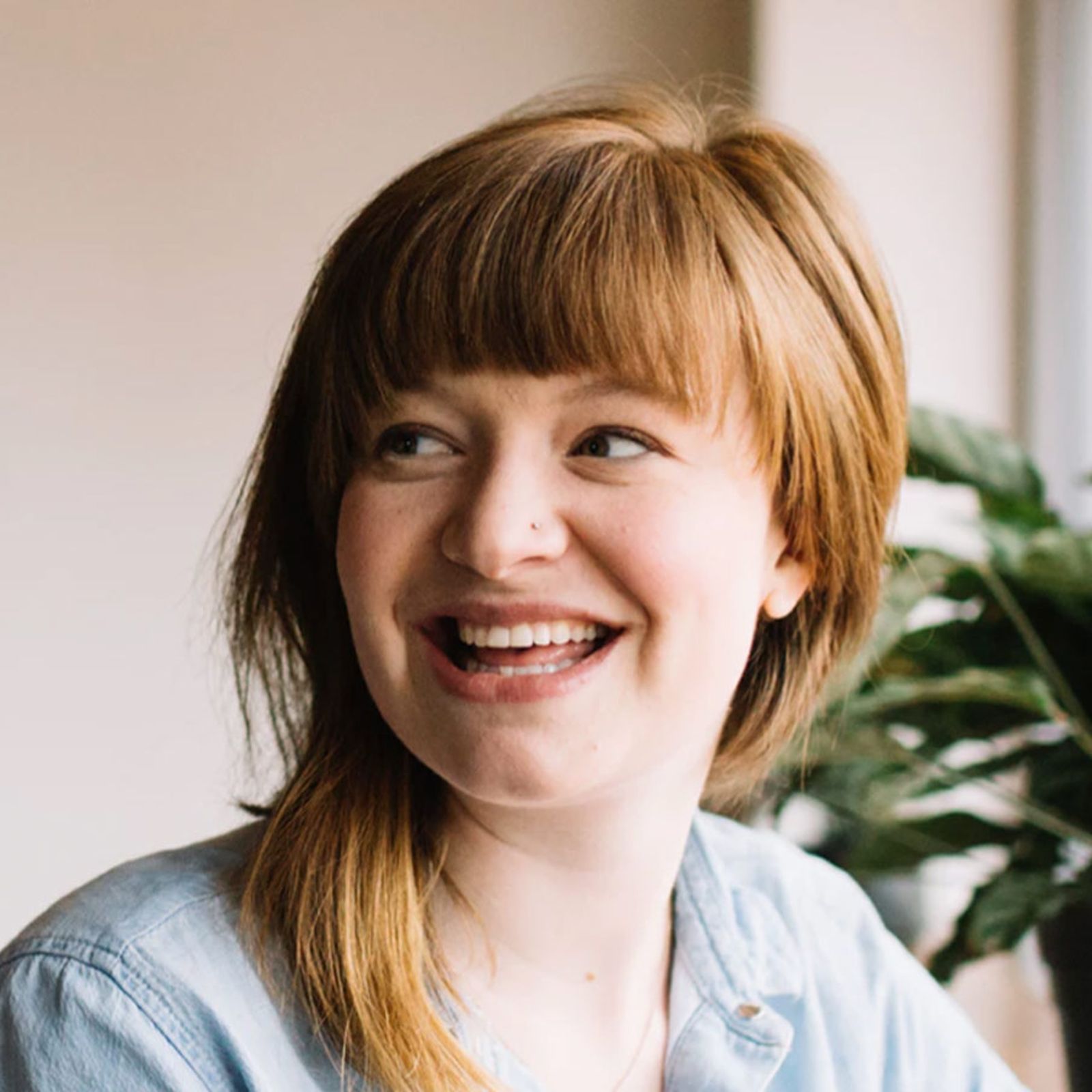 Galería con 100 imágenes desde Zip Galería con 100 imágenes desde Zip