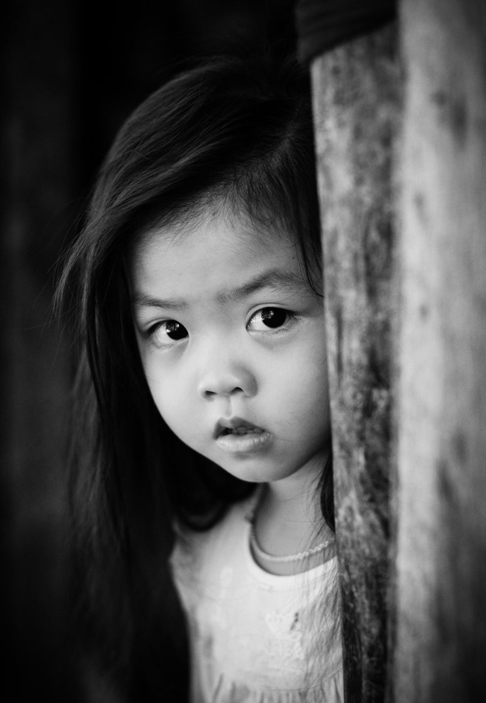 Fotogalería de imágenes verticales a partir de ZIP Fotogalería de imágenes verticales a partir de ZIP