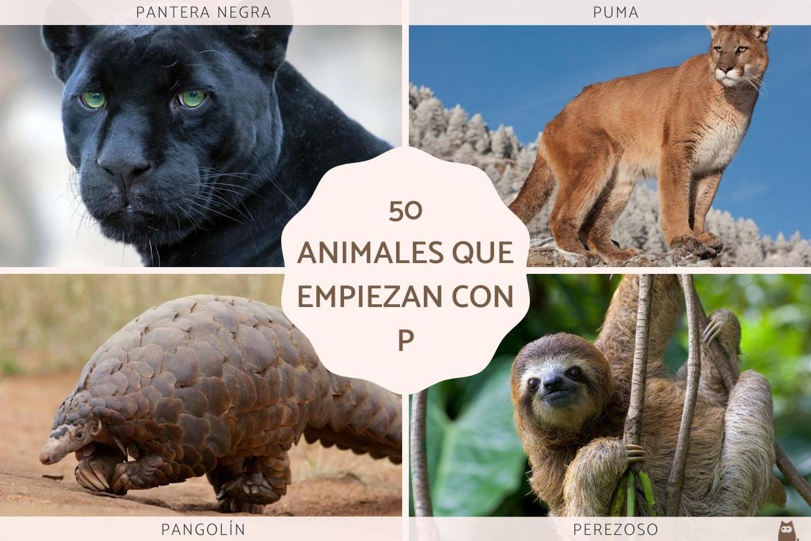 animales que empiezan por p 26038 orig
