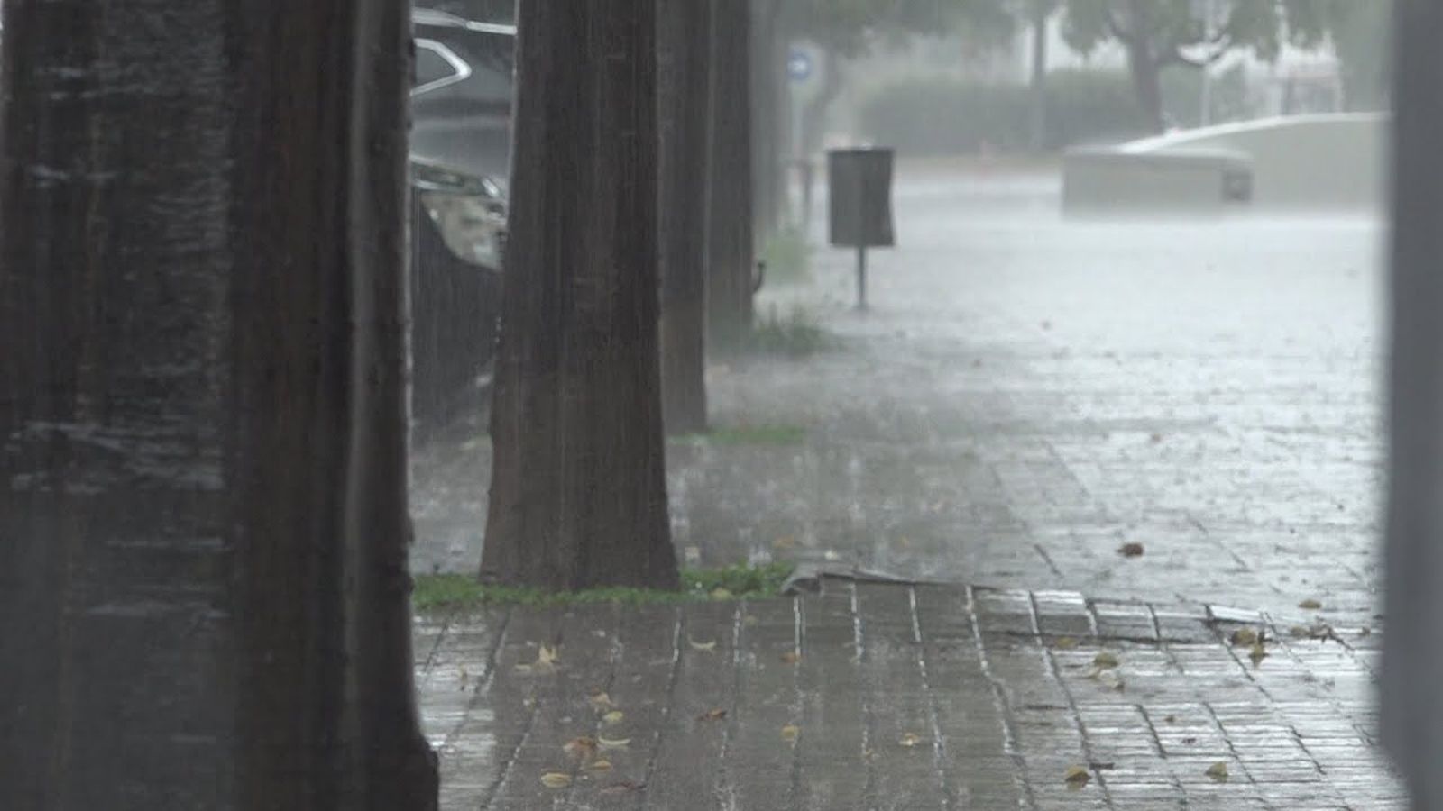 Protecció Civil manté l'INUNCAT per la previsió de pluges intenses de demà dijous