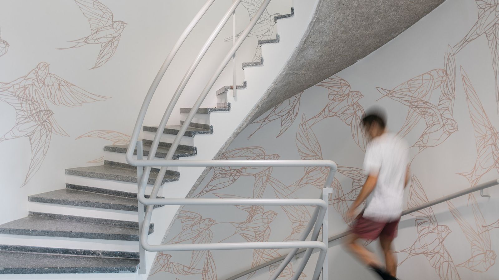 taquen 283 taquen 283