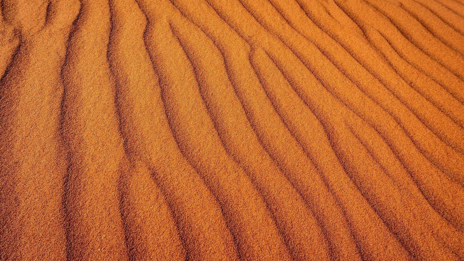 ben-carless-k_lajXwxVII-unsplash