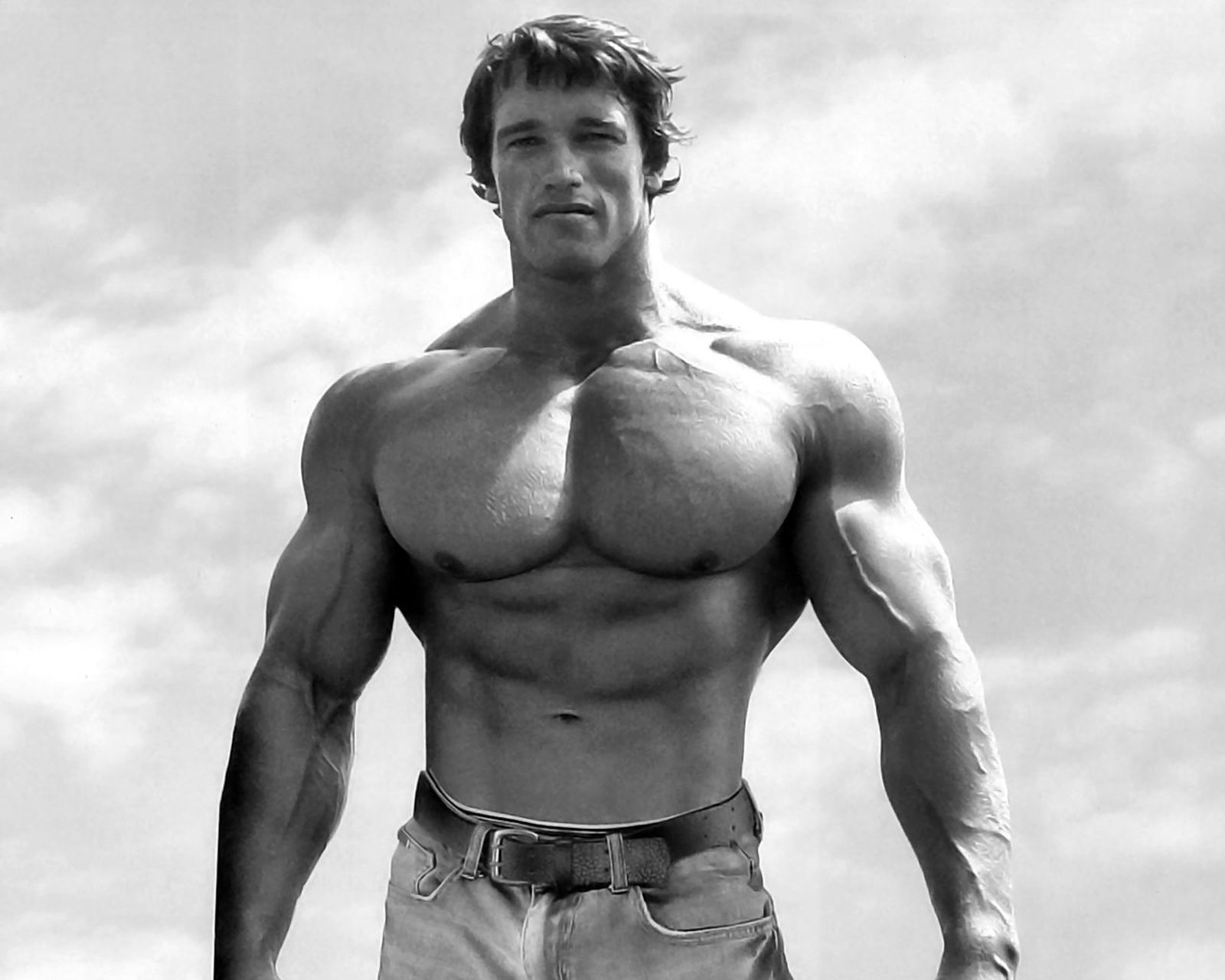 125 Arnold Schwarzenegger wallpaper.JPG