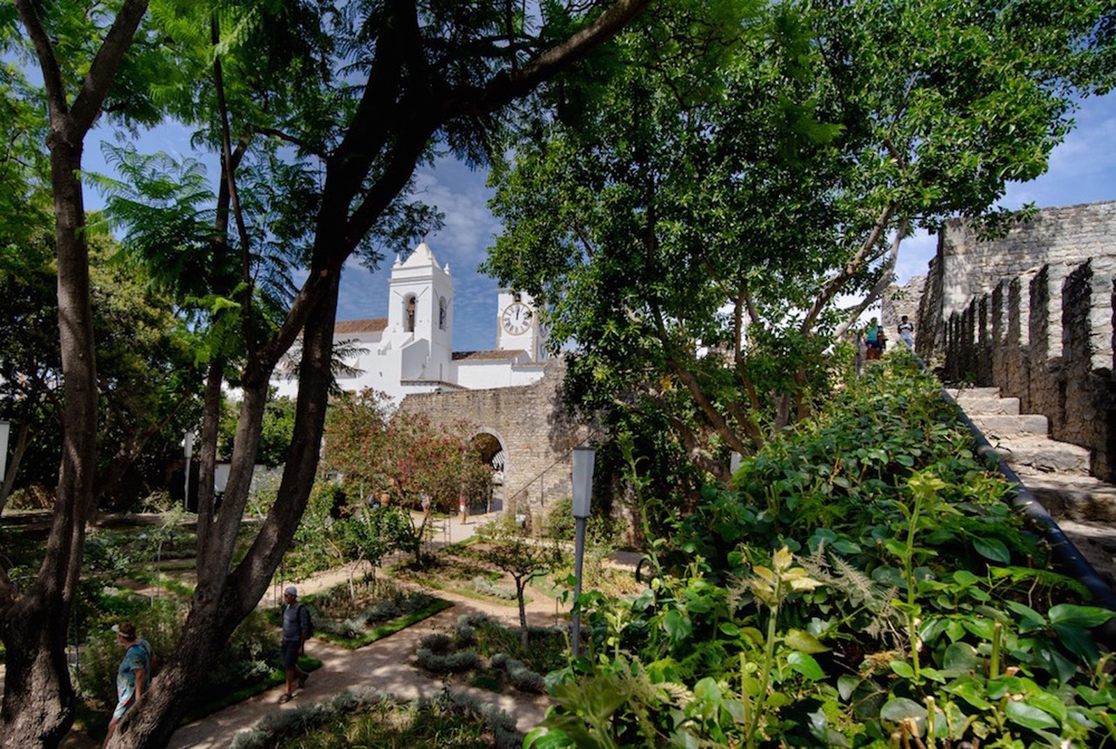 Galería móvil más de 100