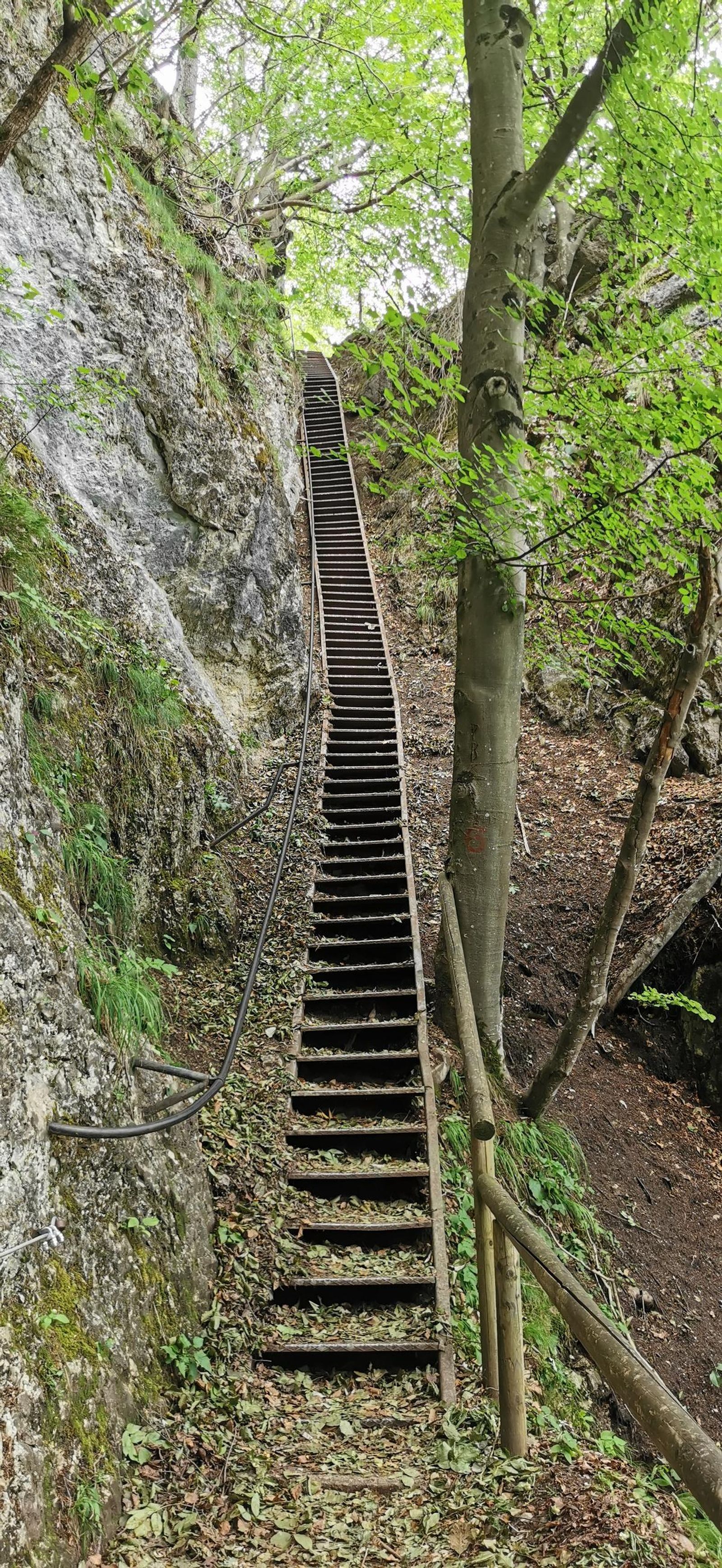 Fotogalería test móvil datos Fotogalería test móvil datos