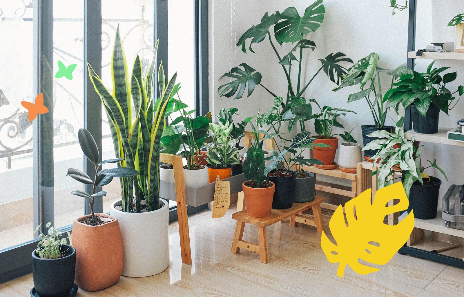 Galería con 100 imágenes desde Zip Galería con 100 imágenes desde Zip