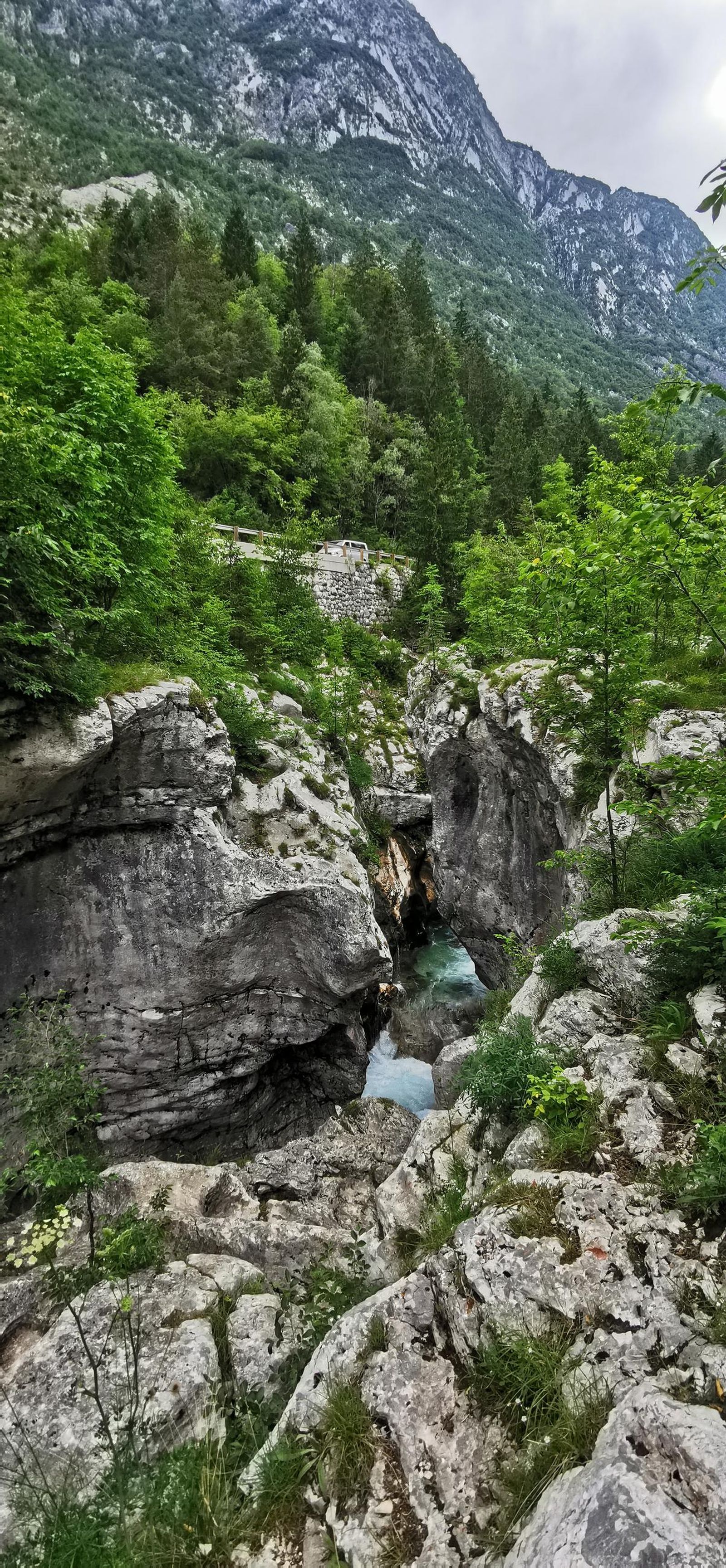 Galería test móvil Galería test móvil