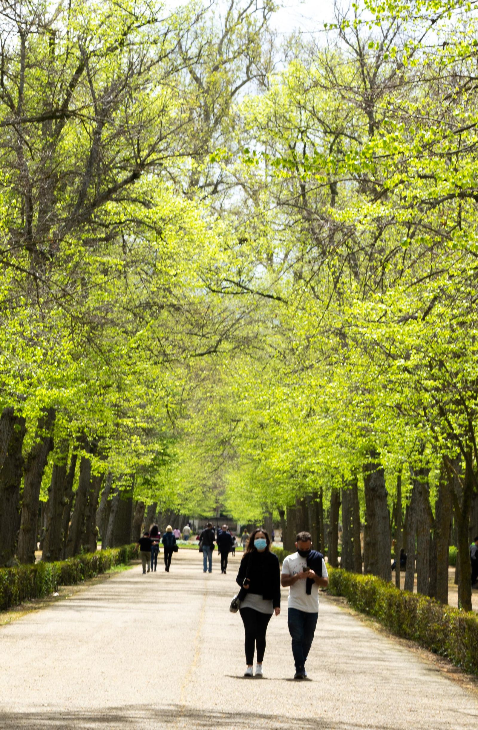 Galería móvil más de 100