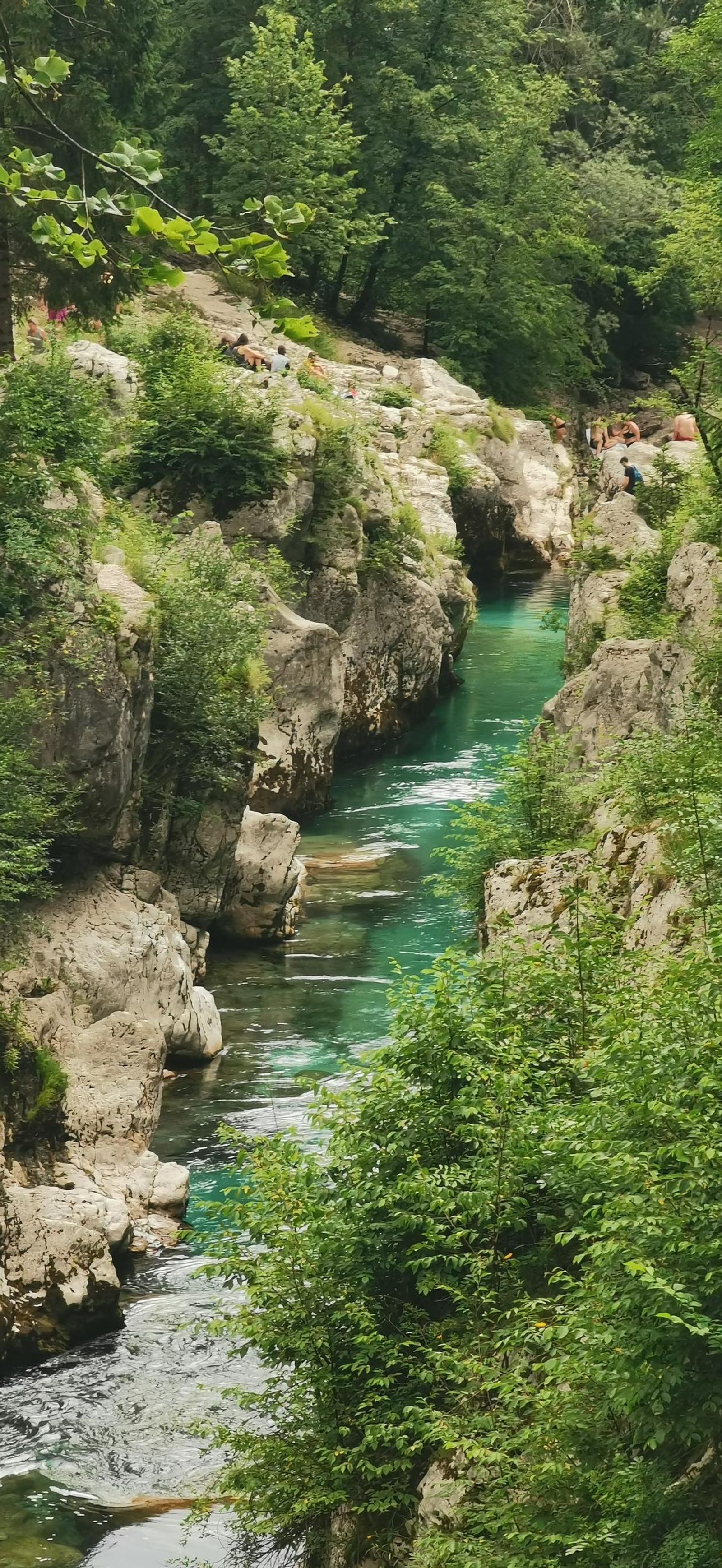 Galería test móvil Galería test móvil