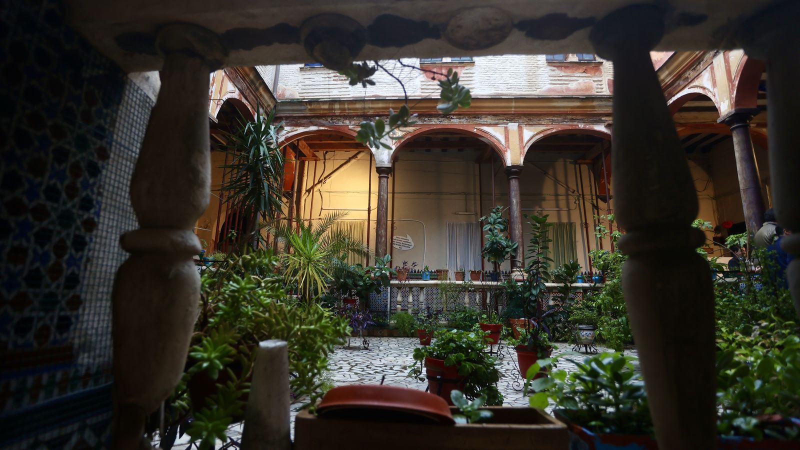 image00020.jpeg image00020.jpeg