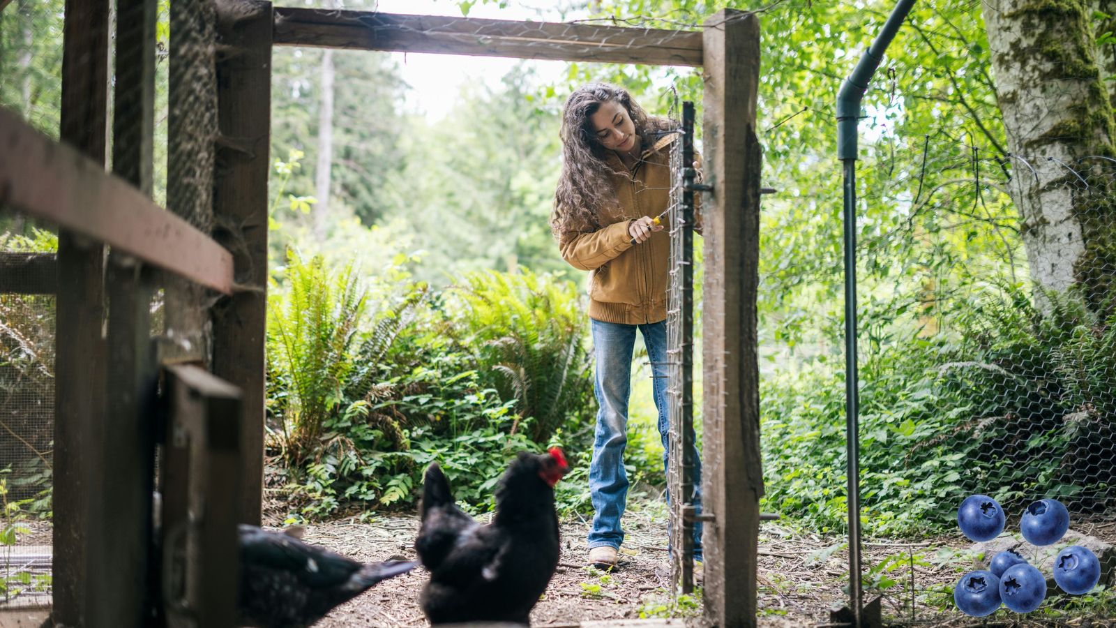 land-o-lakes-inc-0CL5pgXi1wQ-unsplash