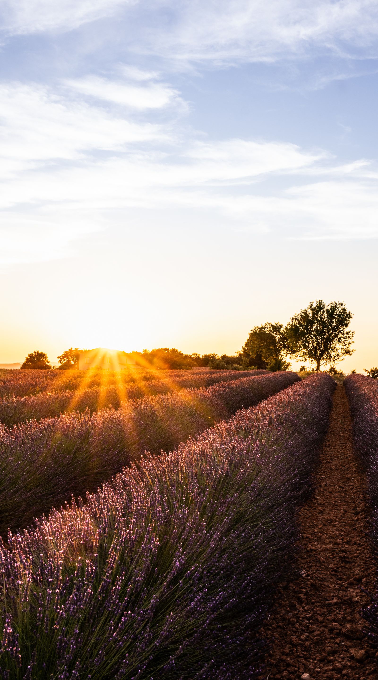 Las imágenes del día: 16 de agosto de 2022 Las imágenes del día: 16 de agosto de 2022