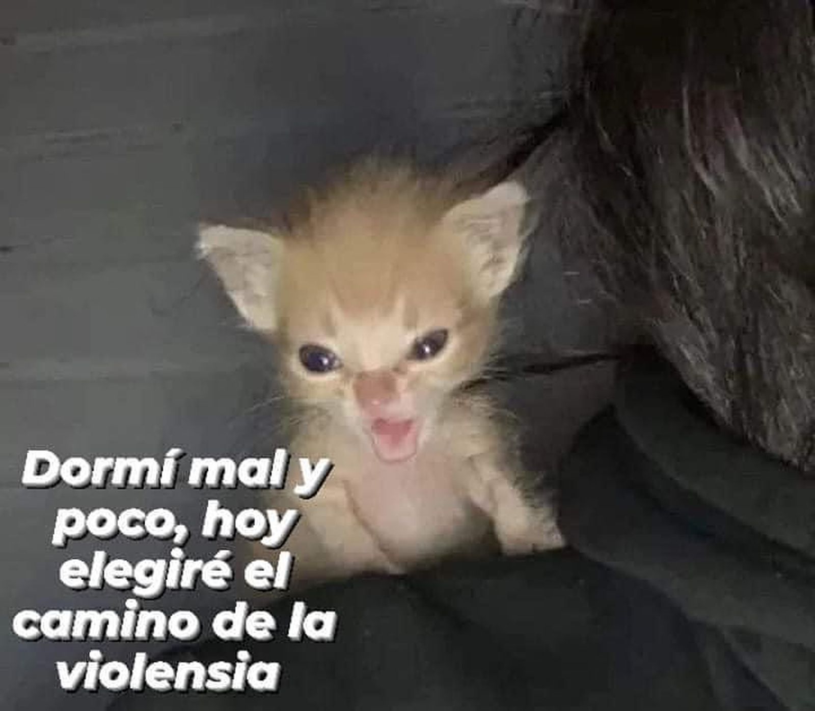 EMBEDDED VIDEO EMBEDDED VIDEO