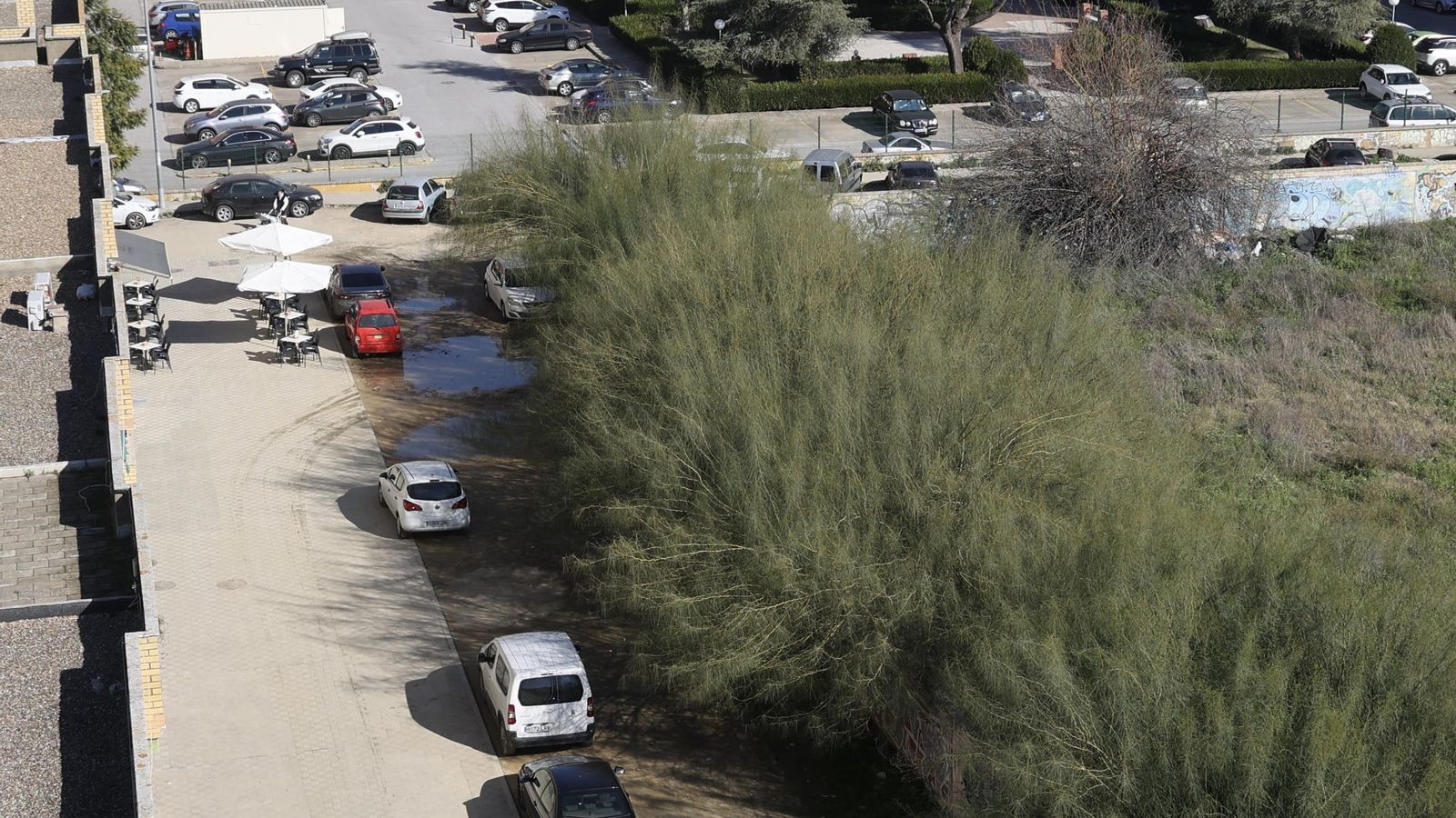 solar-tamarguillo-771cde9.jpg solar-tamarguillo-771cde9.jpg