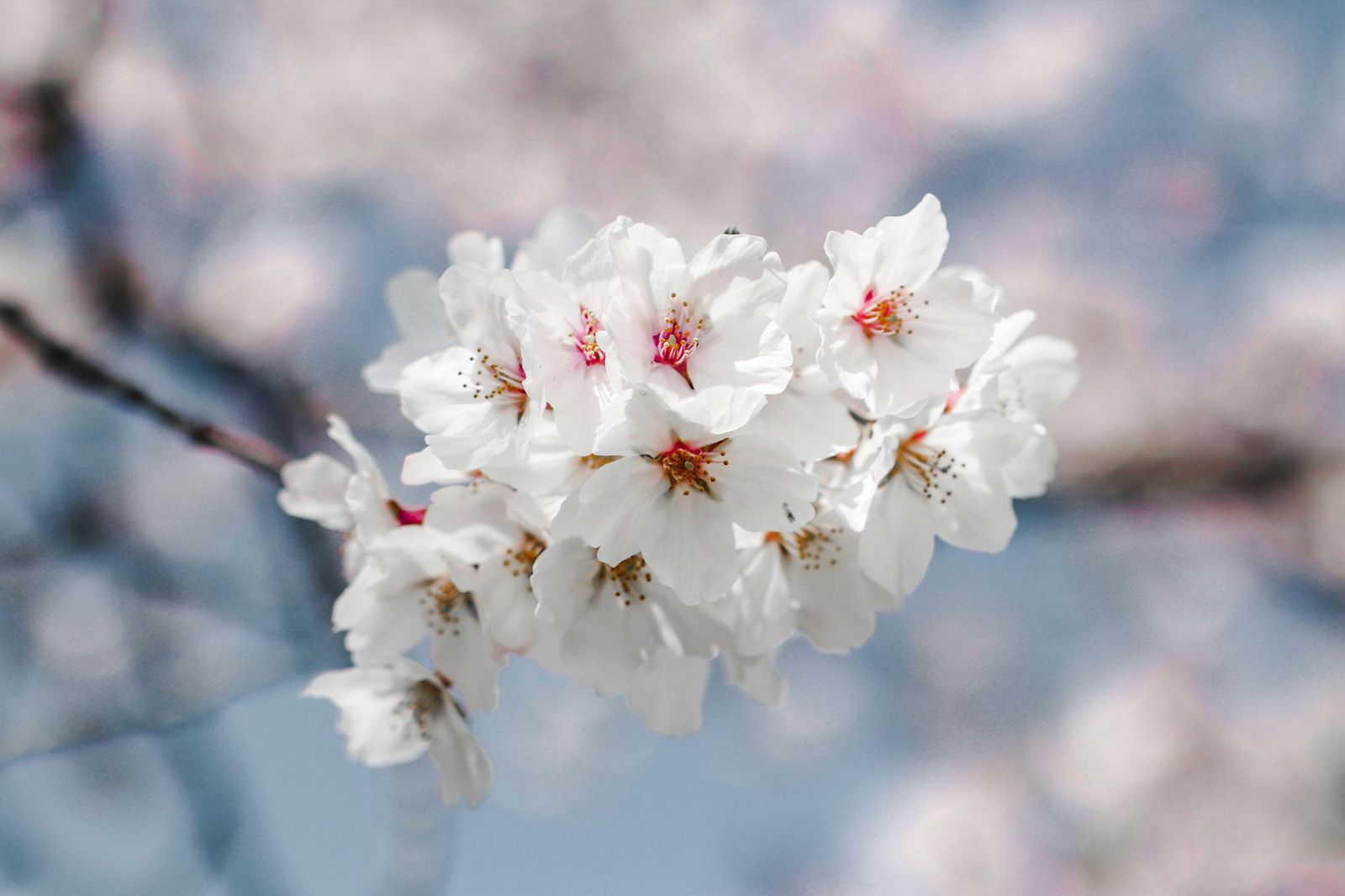 kenn-reynon-YG78b5QZYRM-unsplash.jpg kenn-reynon-YG78b5QZYRM-unsplash.jpg