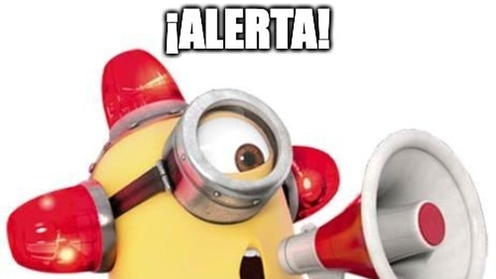 image (49).jpg image (49).jpg