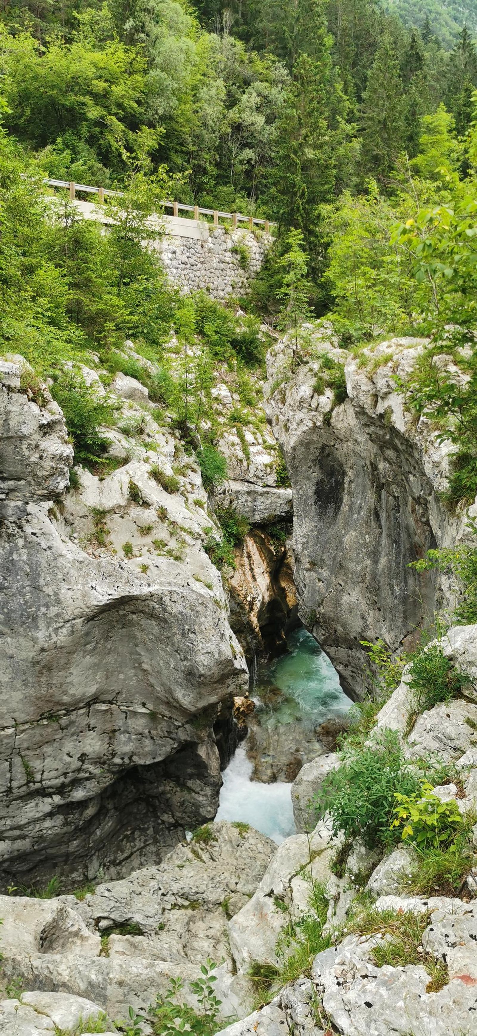 Galería test móvil Galería test móvil