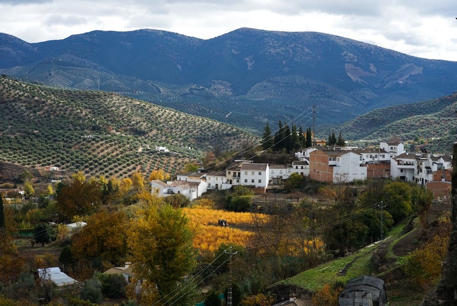 Las imágenes del 8M: Día de la Mujer Las imágenes del 8M: Día de la Mujer