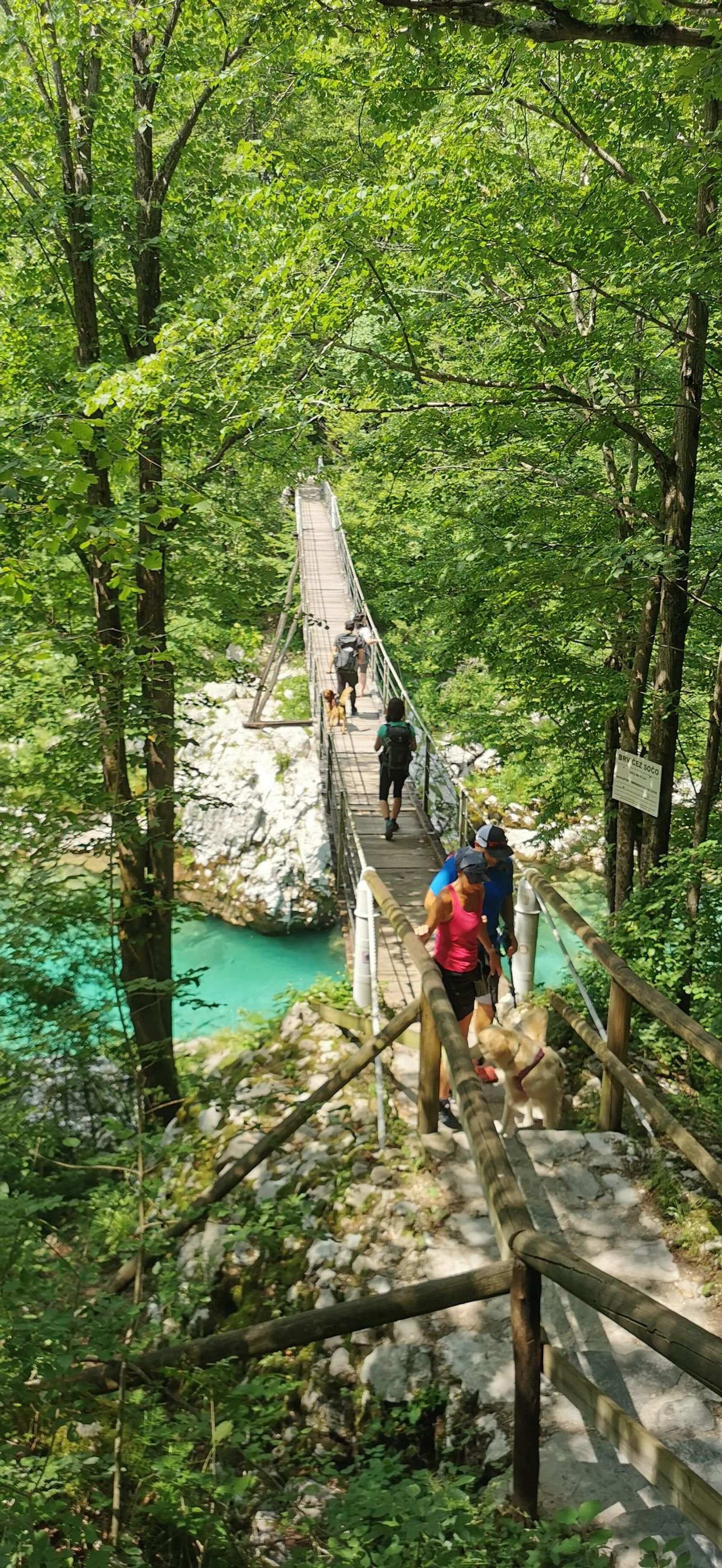 Galería test móvil Galería test móvil