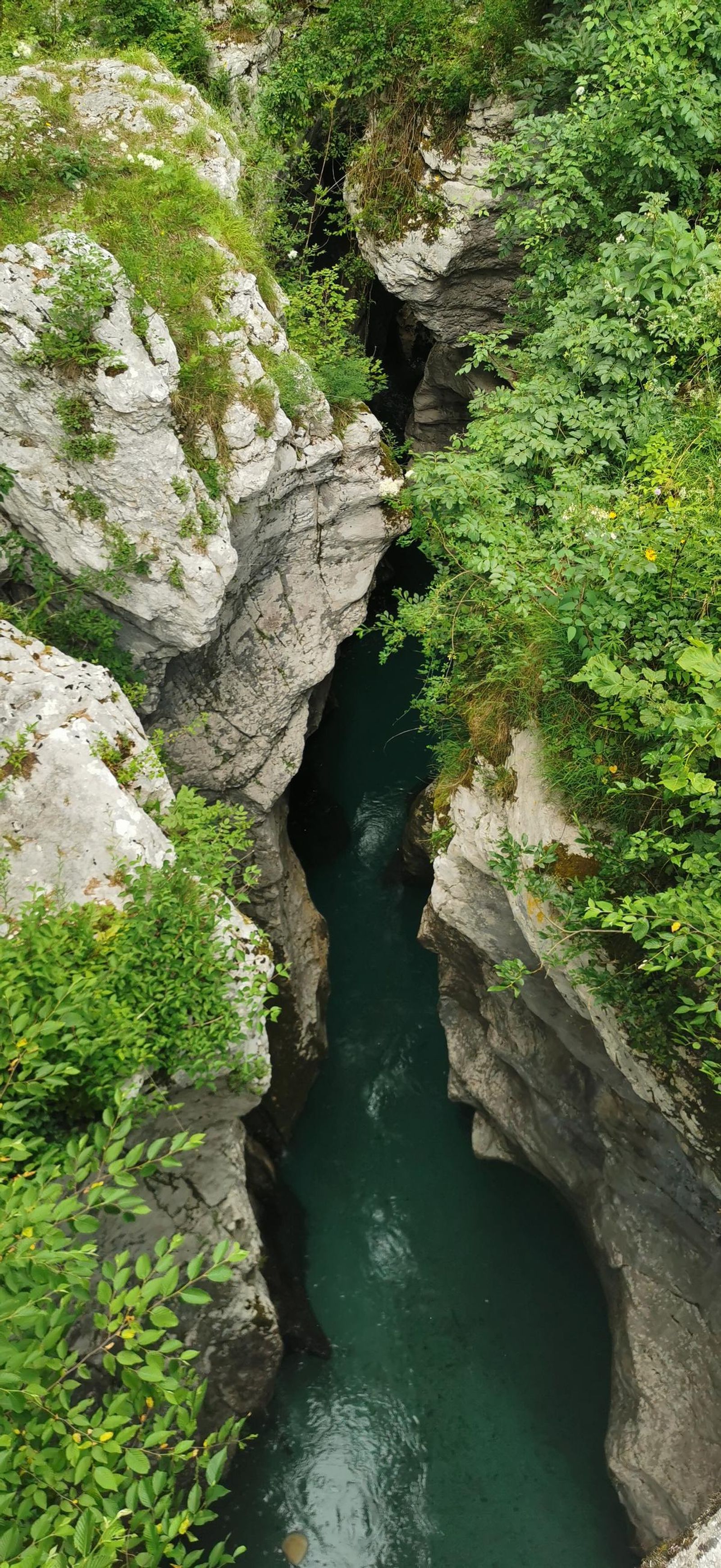 Fotogalería test móvil datos Fotogalería test móvil datos