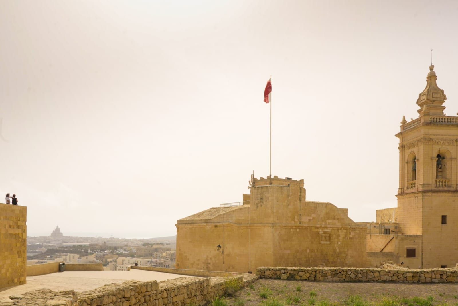 Galería móvil más de 100