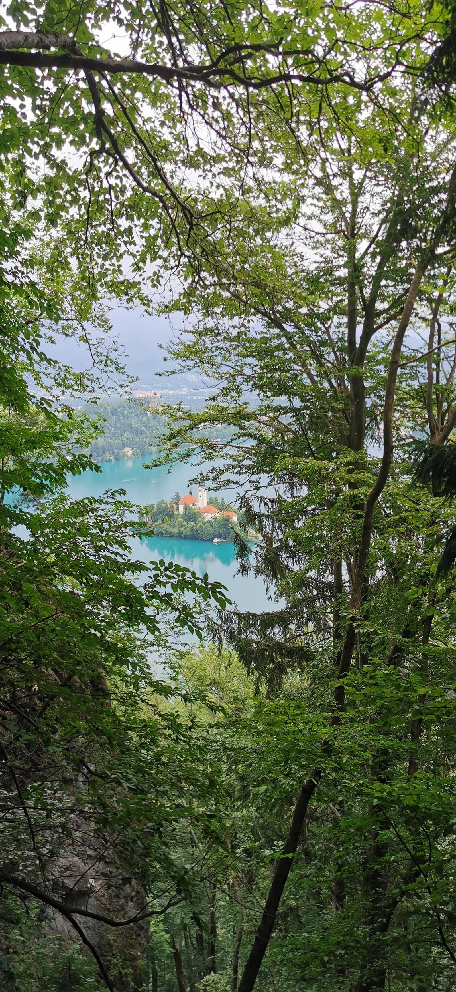 Fotogalería test móvil datos Fotogalería test móvil datos