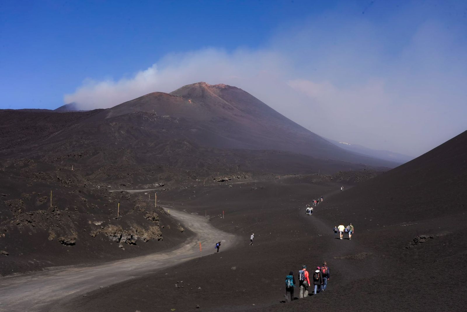 Galería móvil más de 100