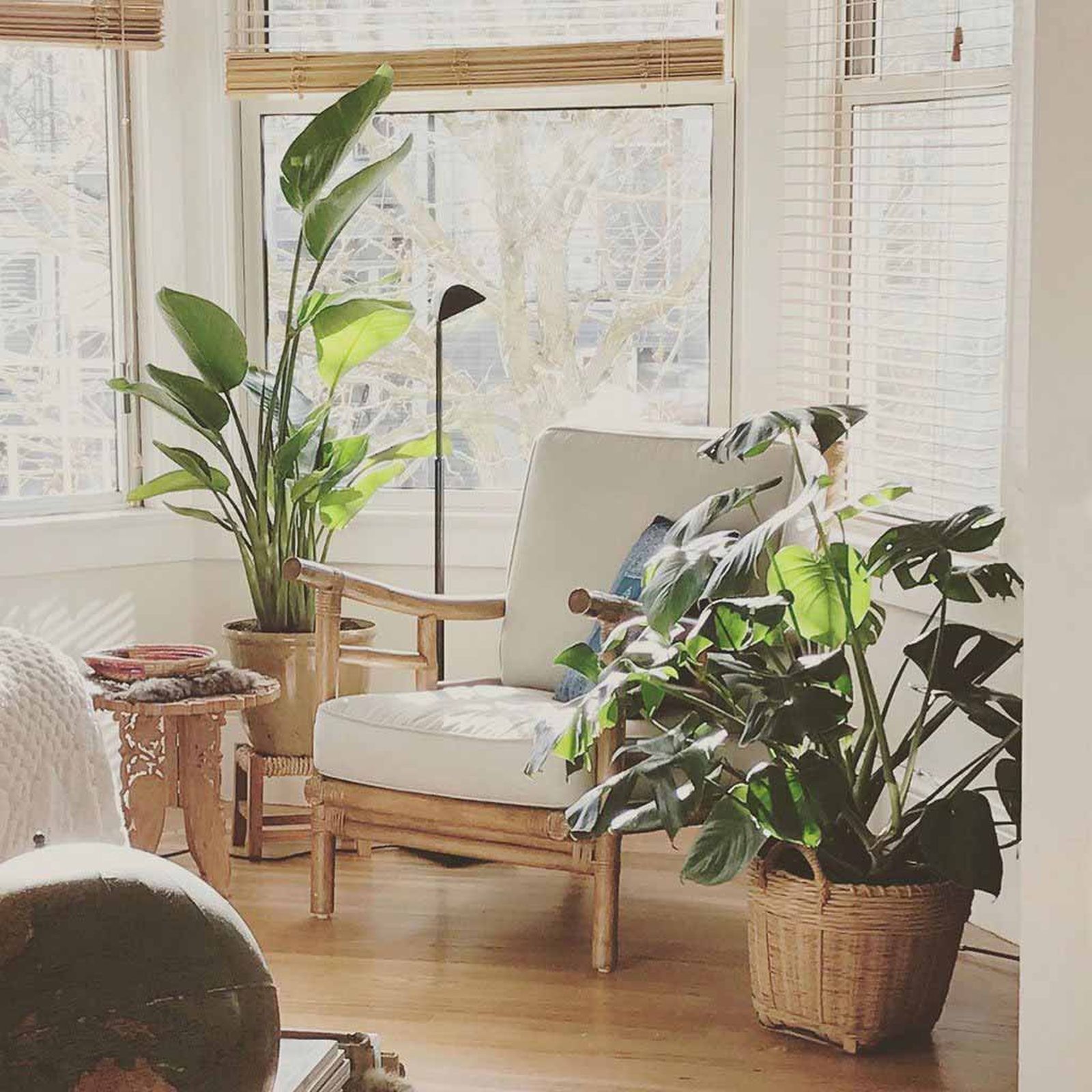 Galería con 100 imágenes desde Zip Galería con 100 imágenes desde Zip