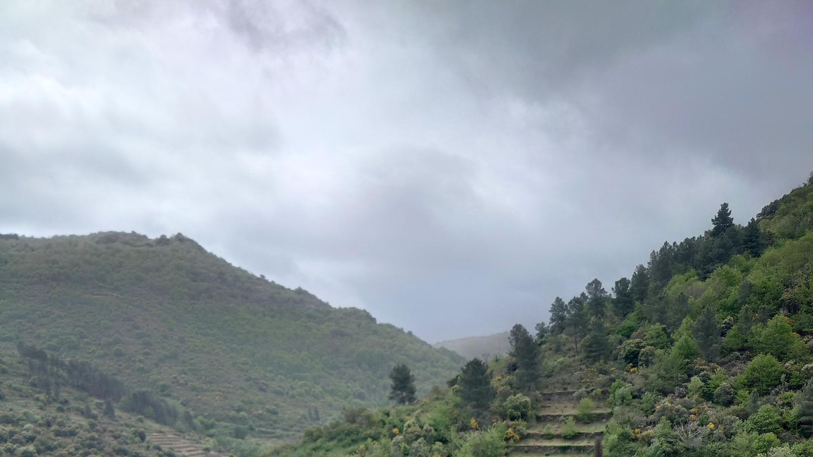 Galería test móvil Galería test móvil