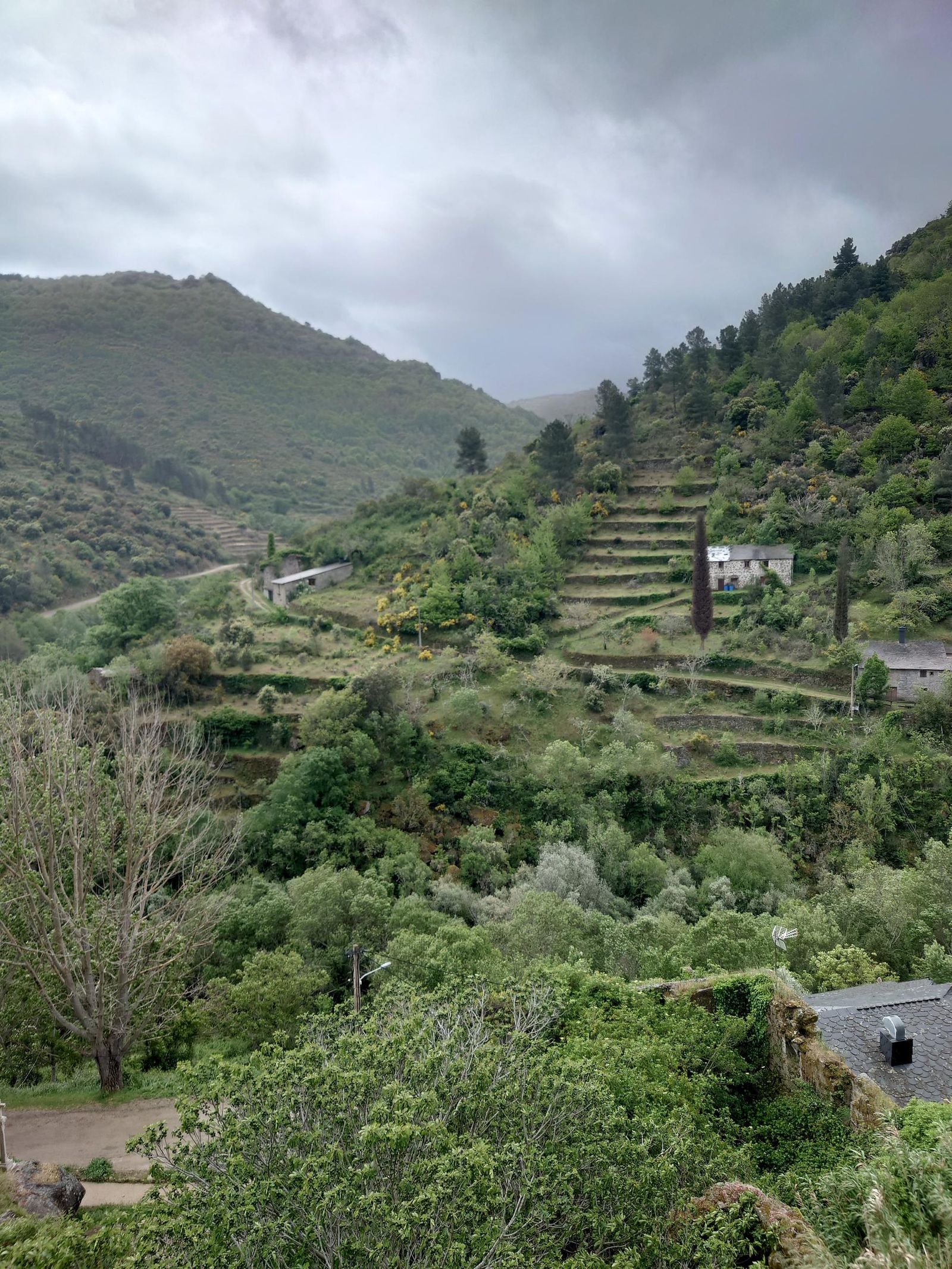 Galería test móvil