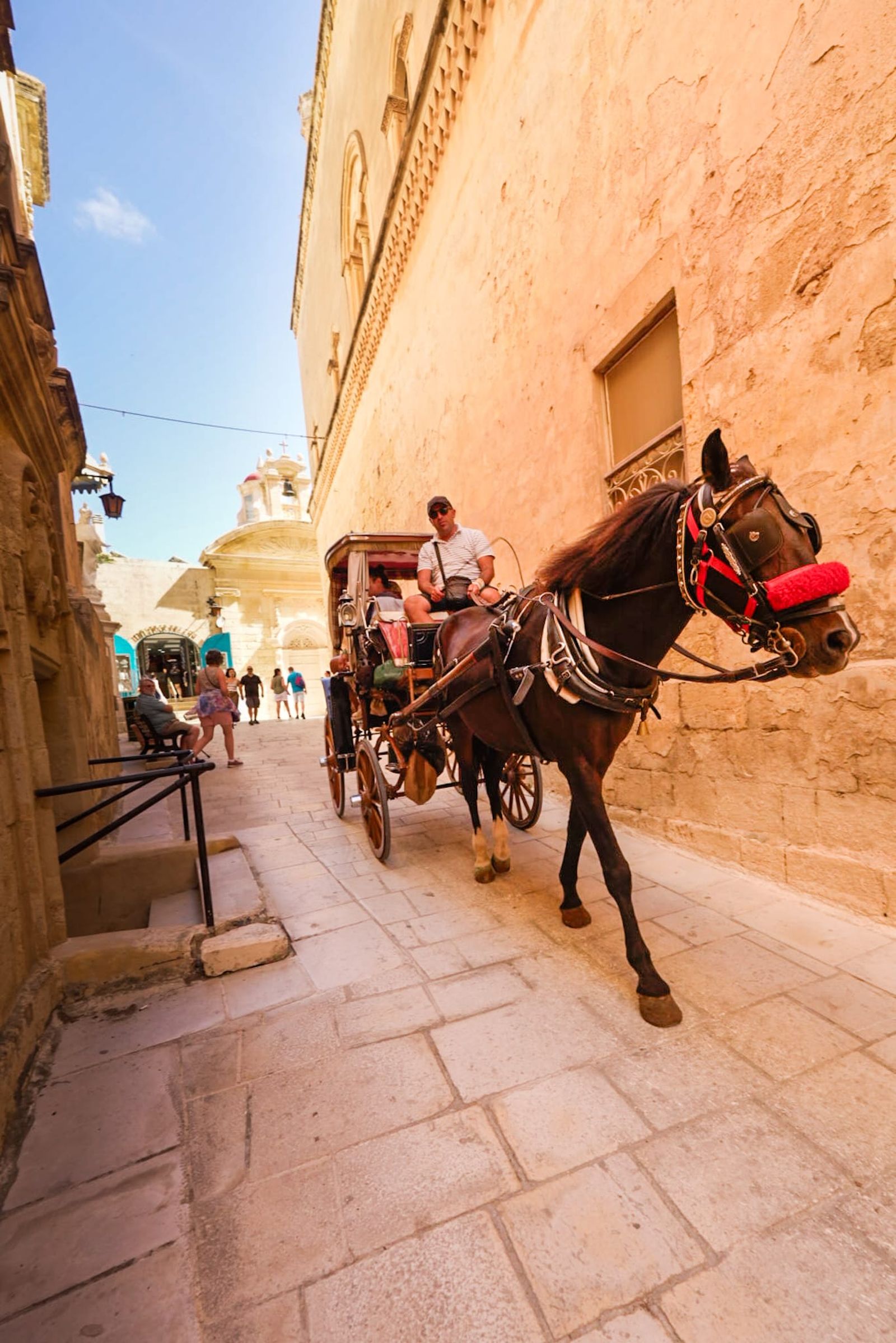 Galería móvil más de 100