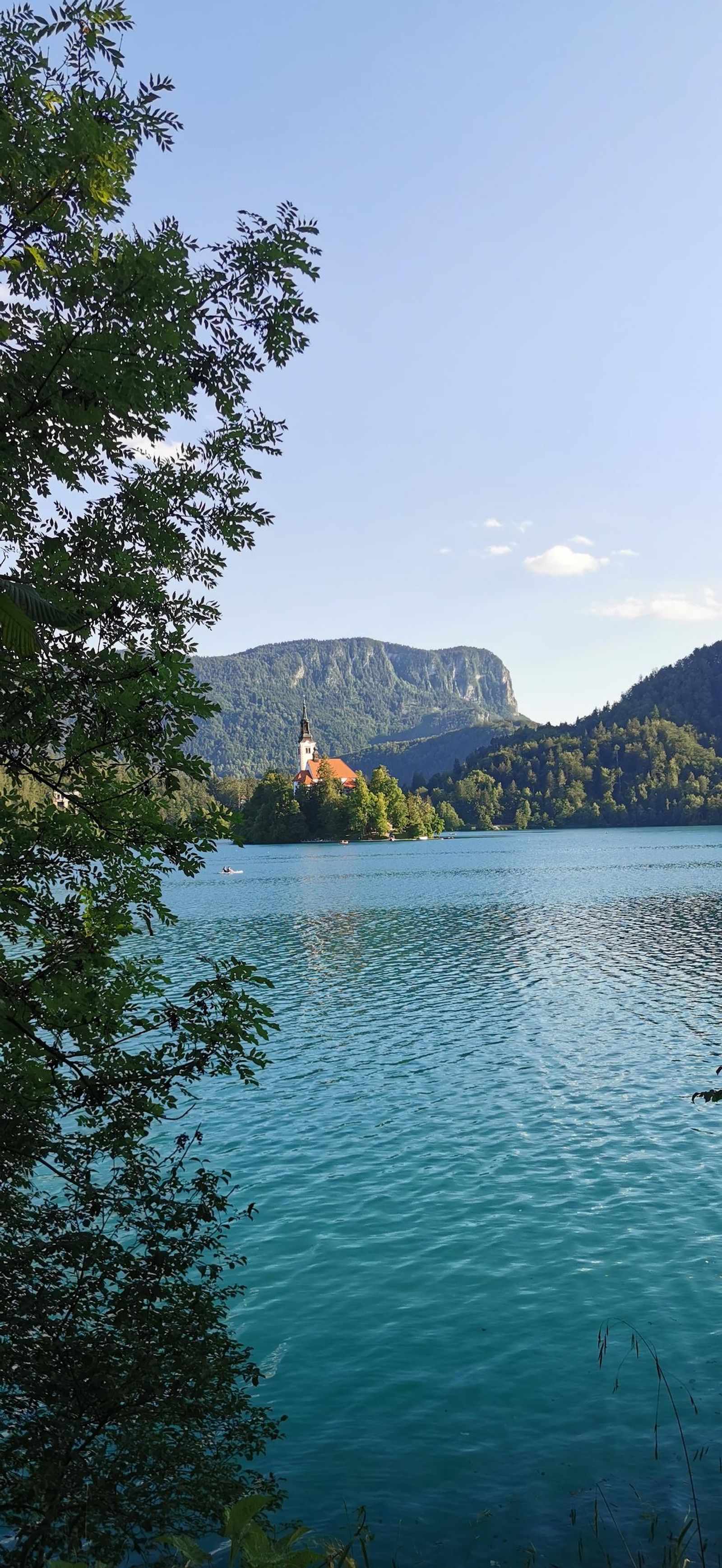 Galería test móvil Galería test móvil